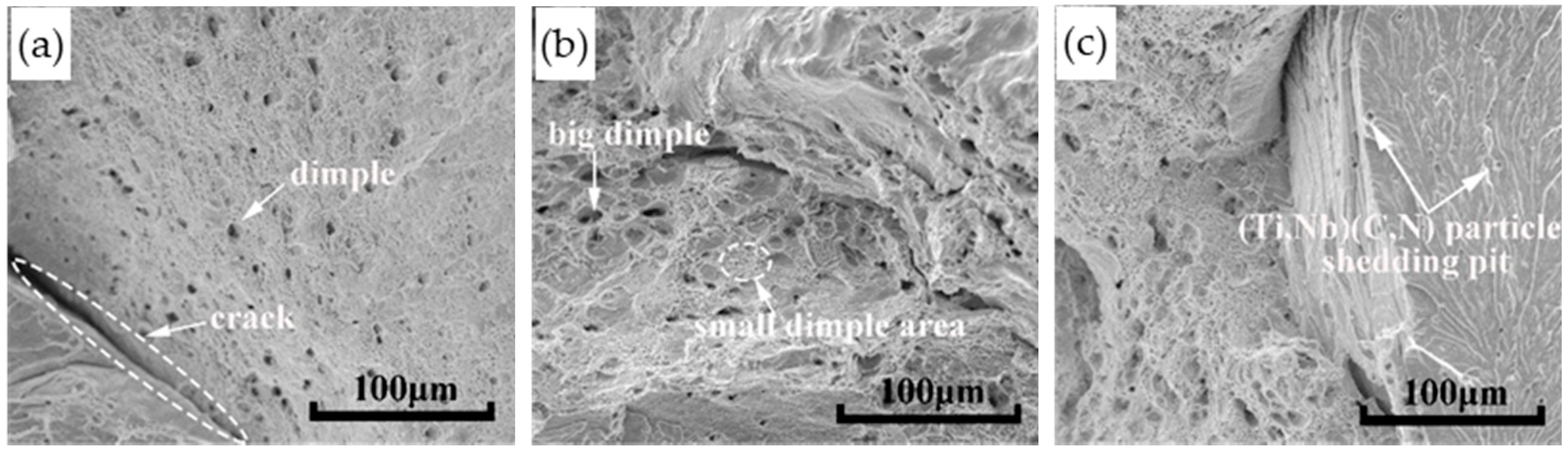 Metals 11 00474 g003