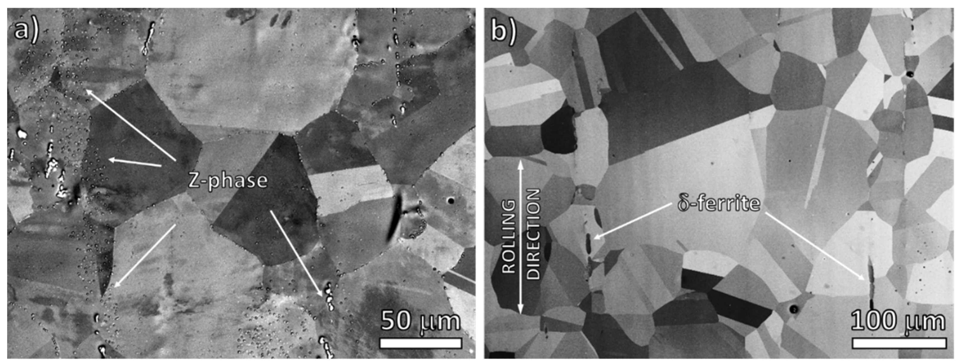 Metals 11 00475 g001