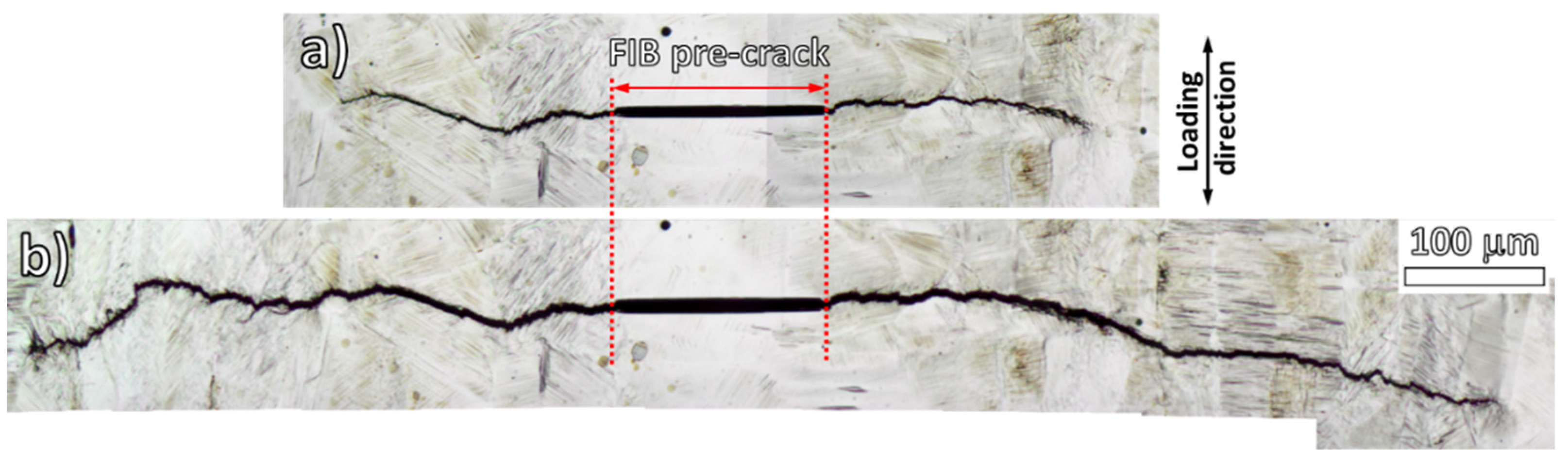 Metals 11 00475 g005