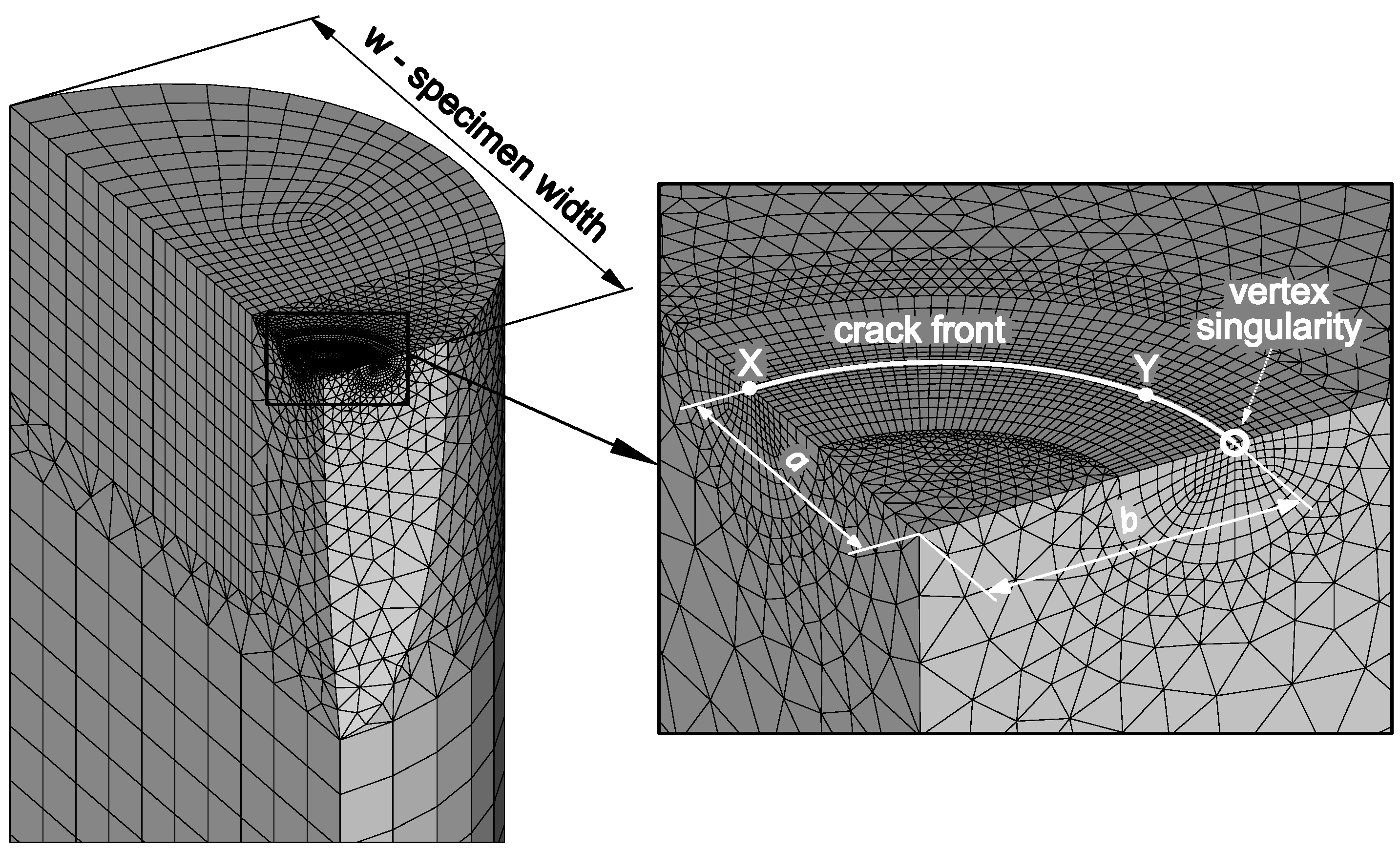 Metals 11 00475 g007