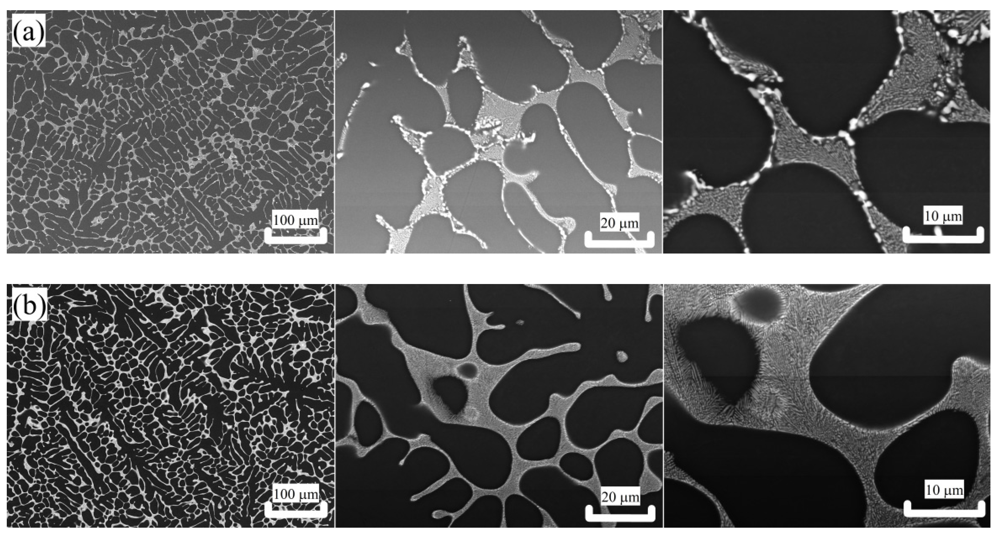 Metals 11 00476 g002