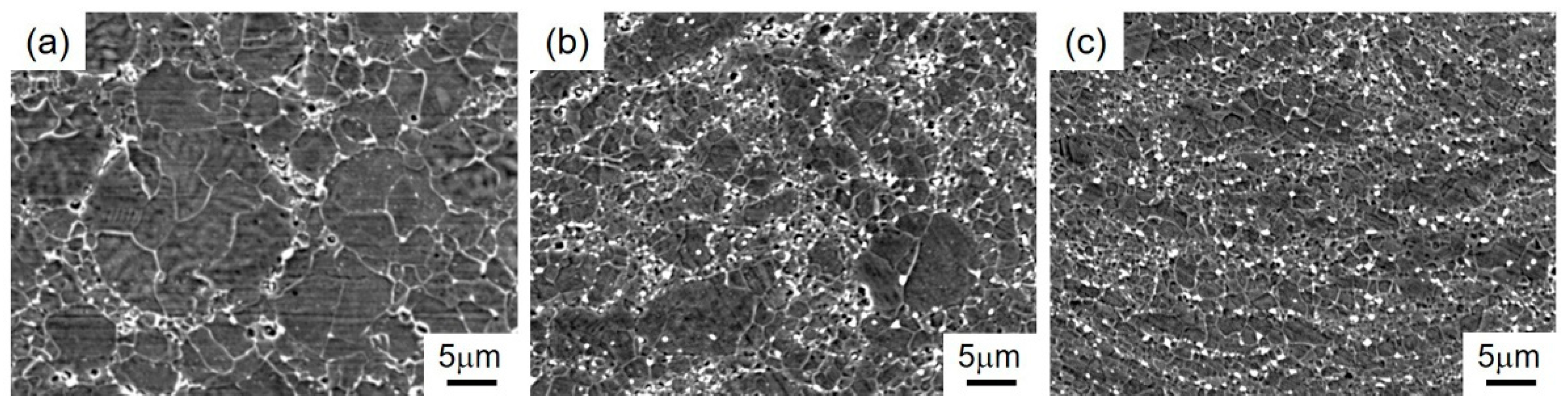 Metals 11 00477 g002