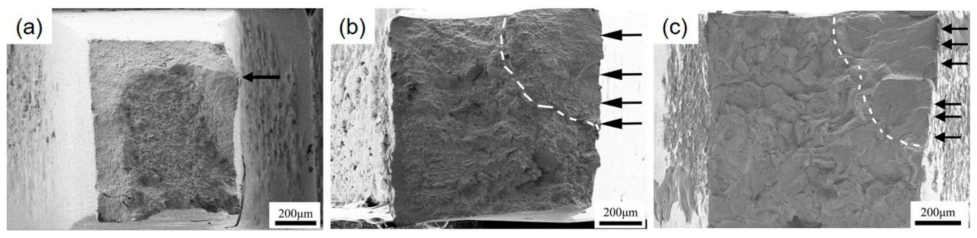 Metals 11 00477 g005