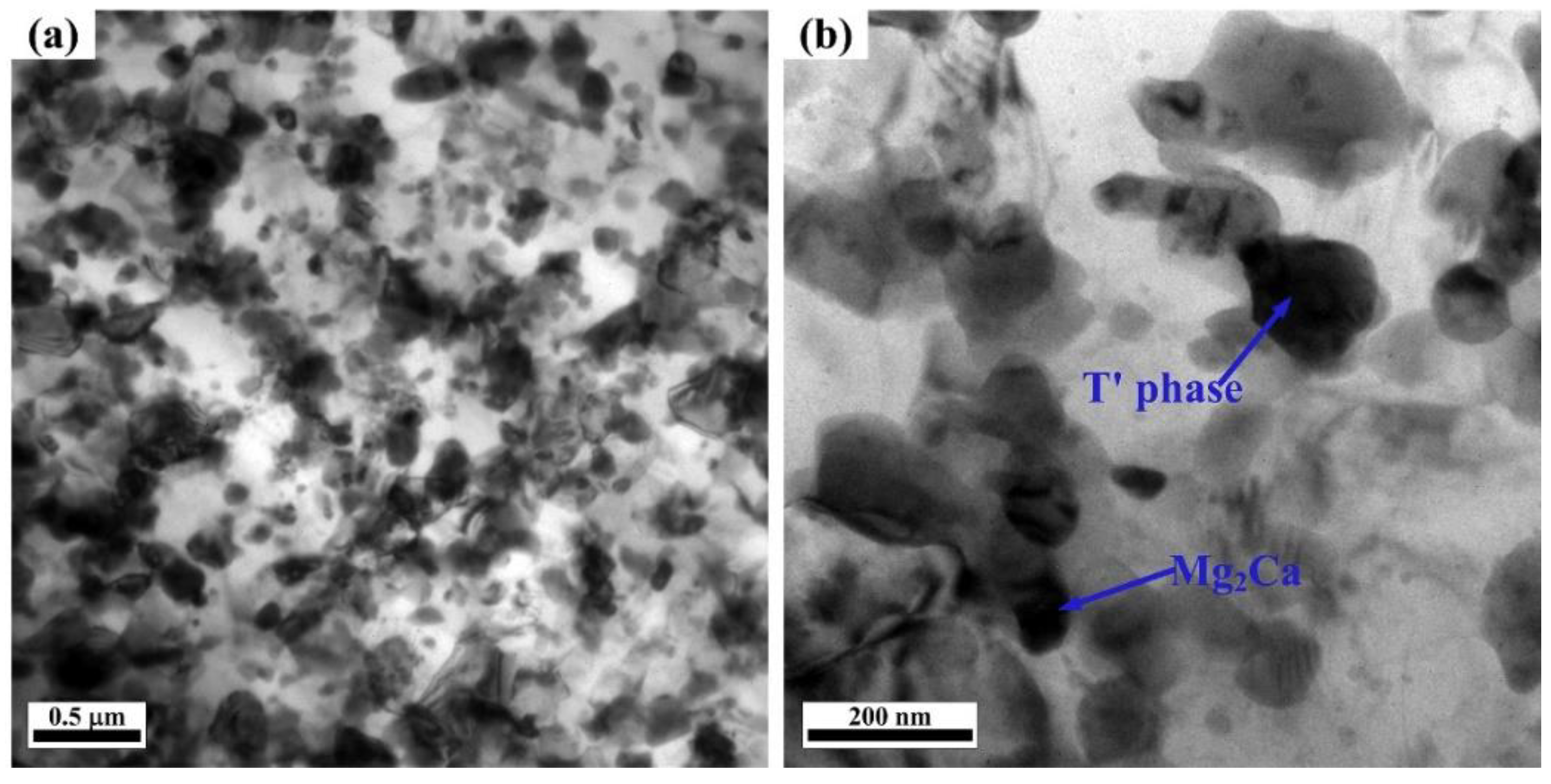 Metals 11 00480 g002 Metals 11 00480 g002