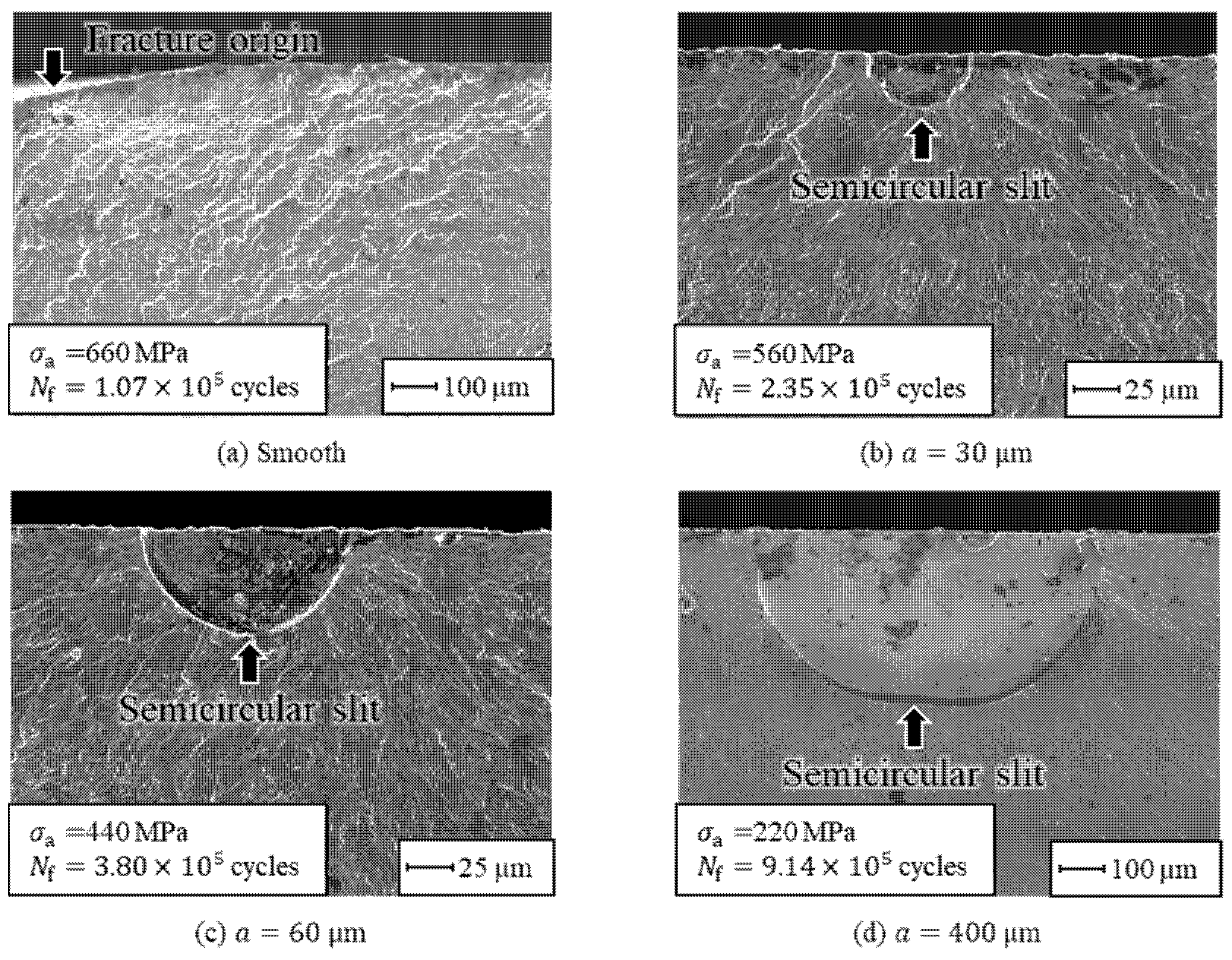 Metals 11 00483 g008 Metals 11 00483 g008