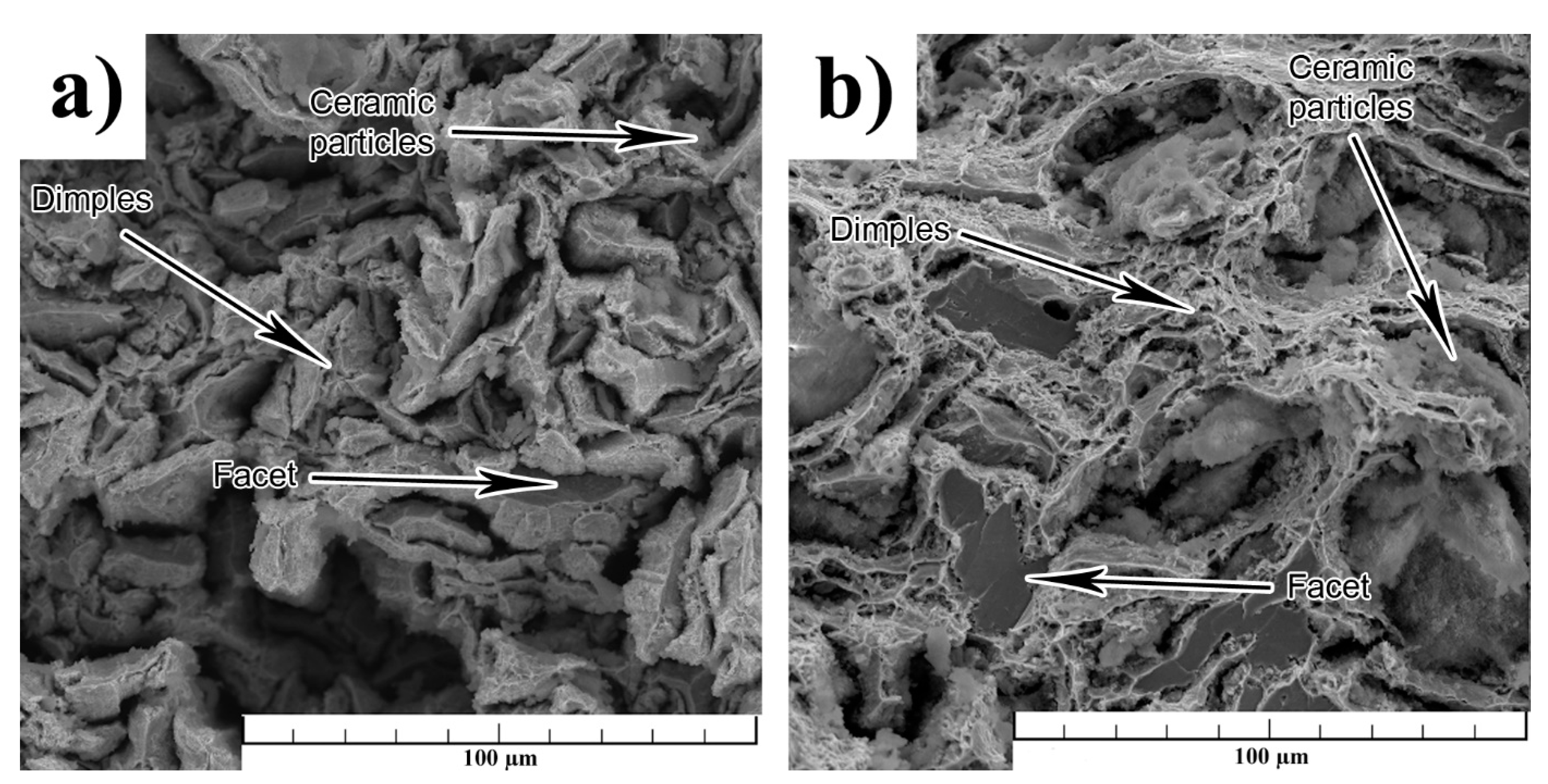 Metals 11 00499 g005 Metals 11 00499 g005