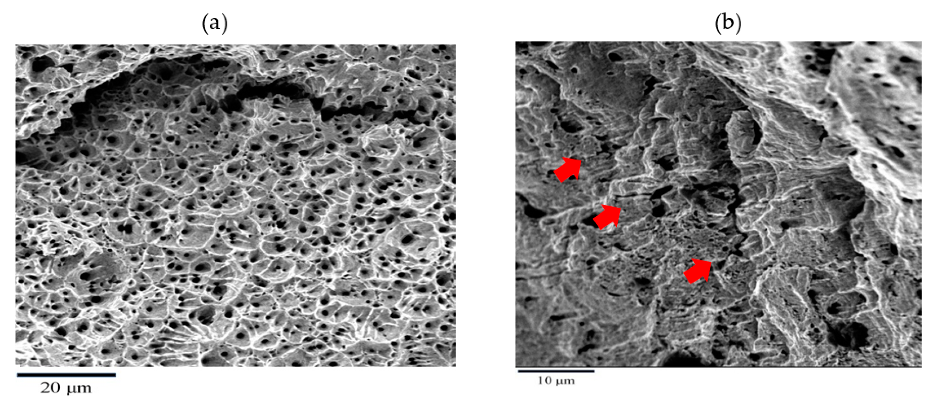 Metals 11 00500 g003