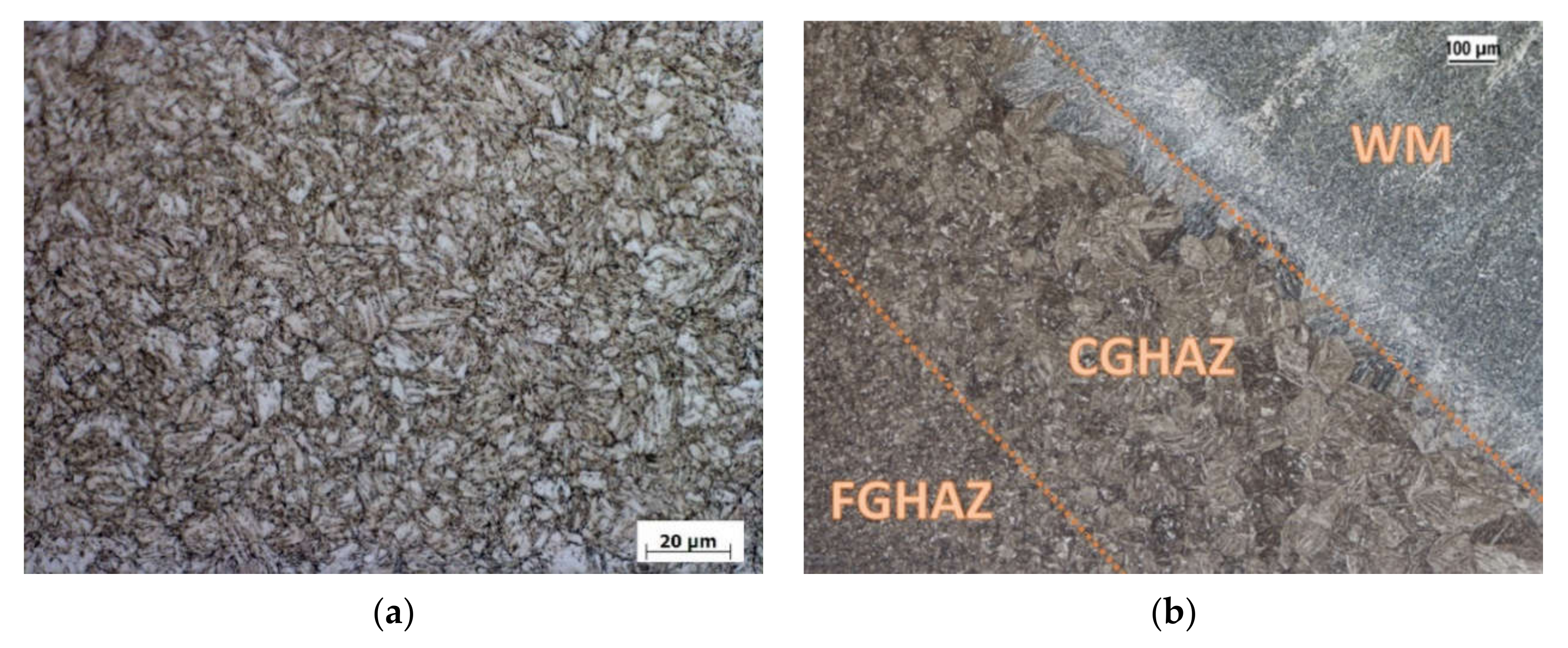 Metals 11 00505 g008