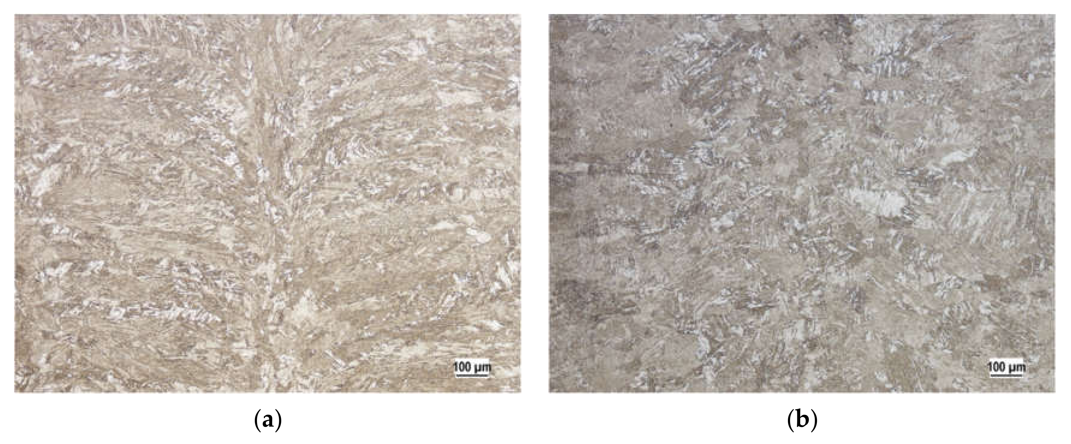 Metals 11 00505 g009