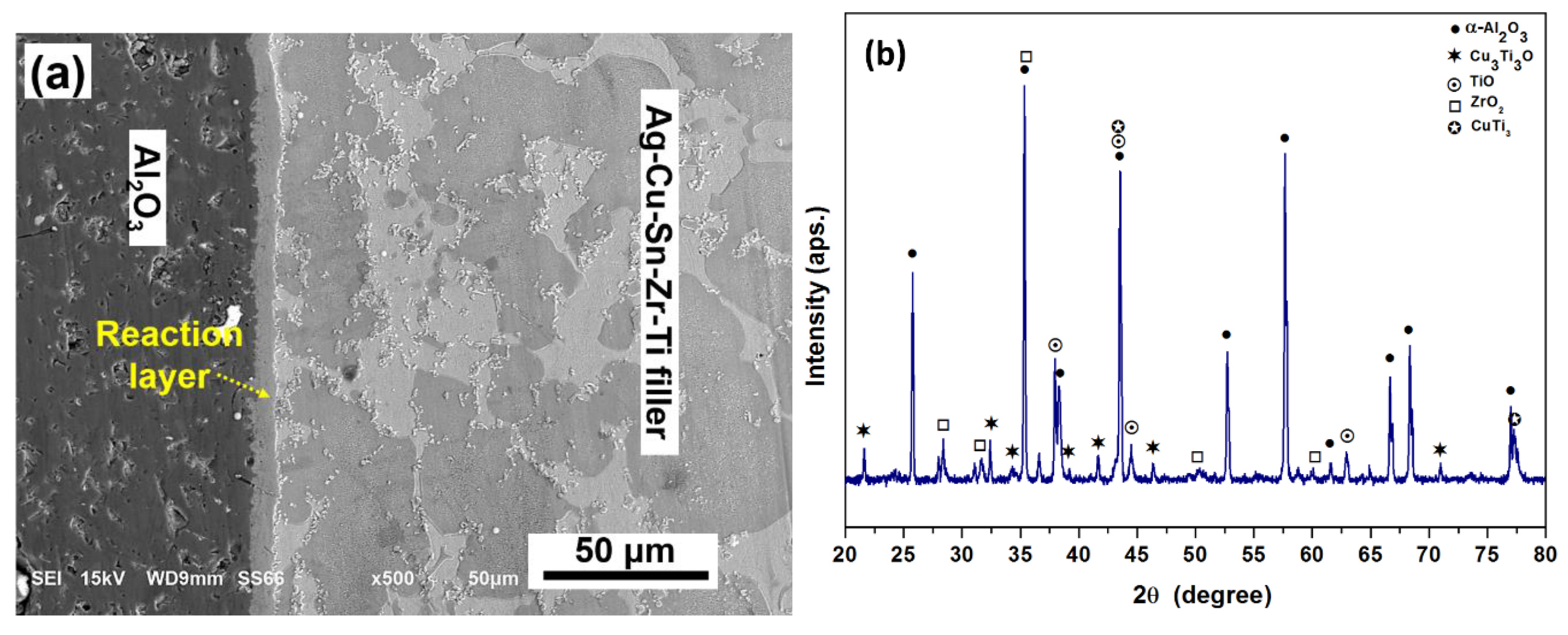 Metals 11 00509 g006a
