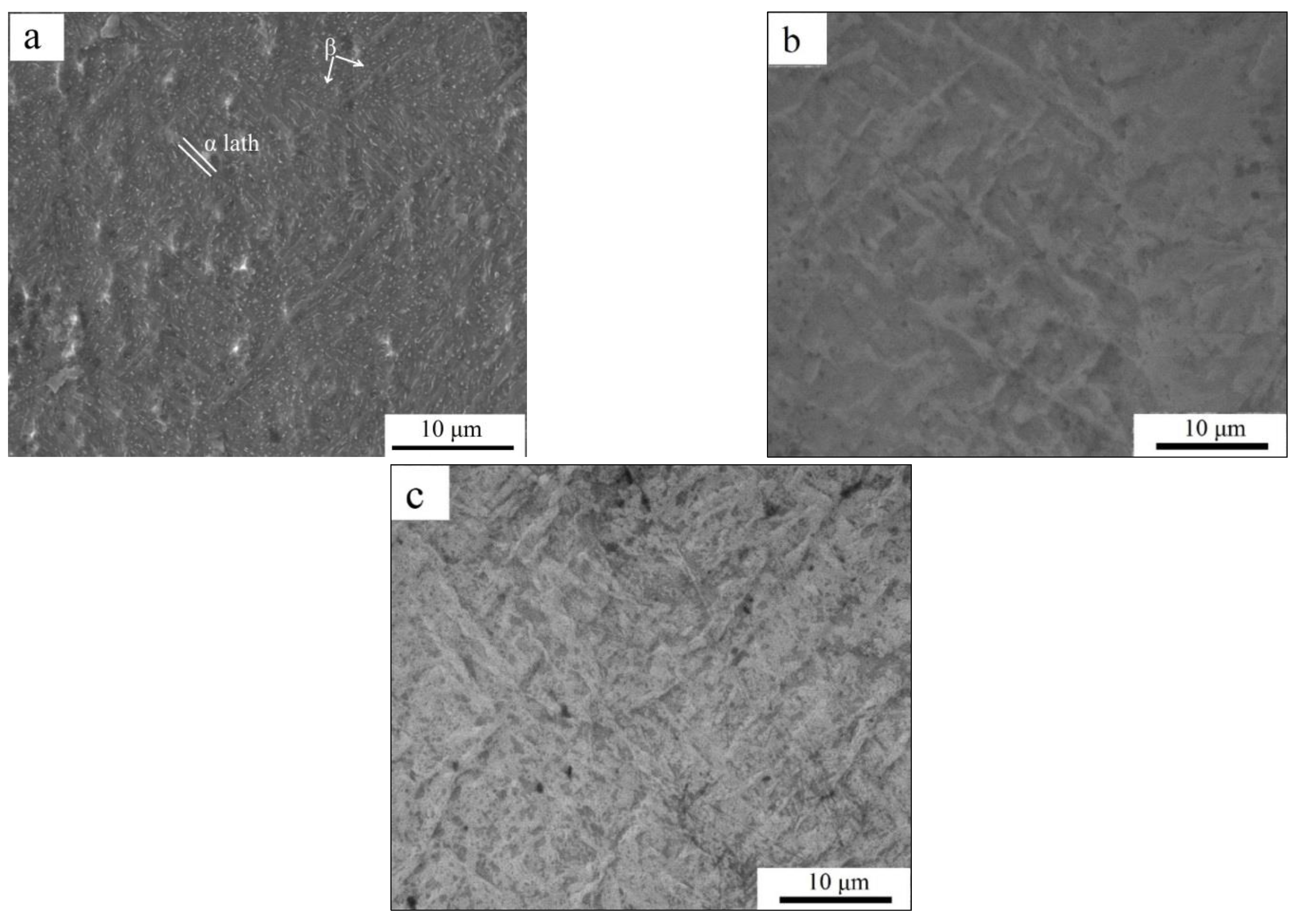 Metals 11 00512 g001 Metals 11 00512 g001