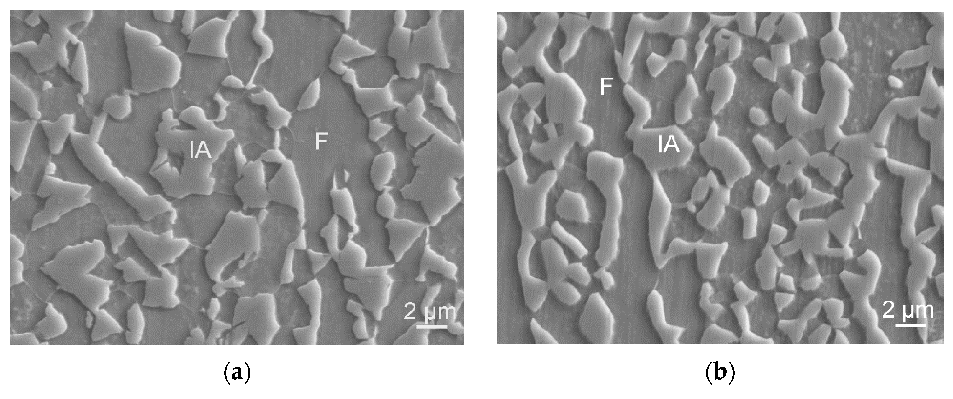 Metals 11 00523 g002a