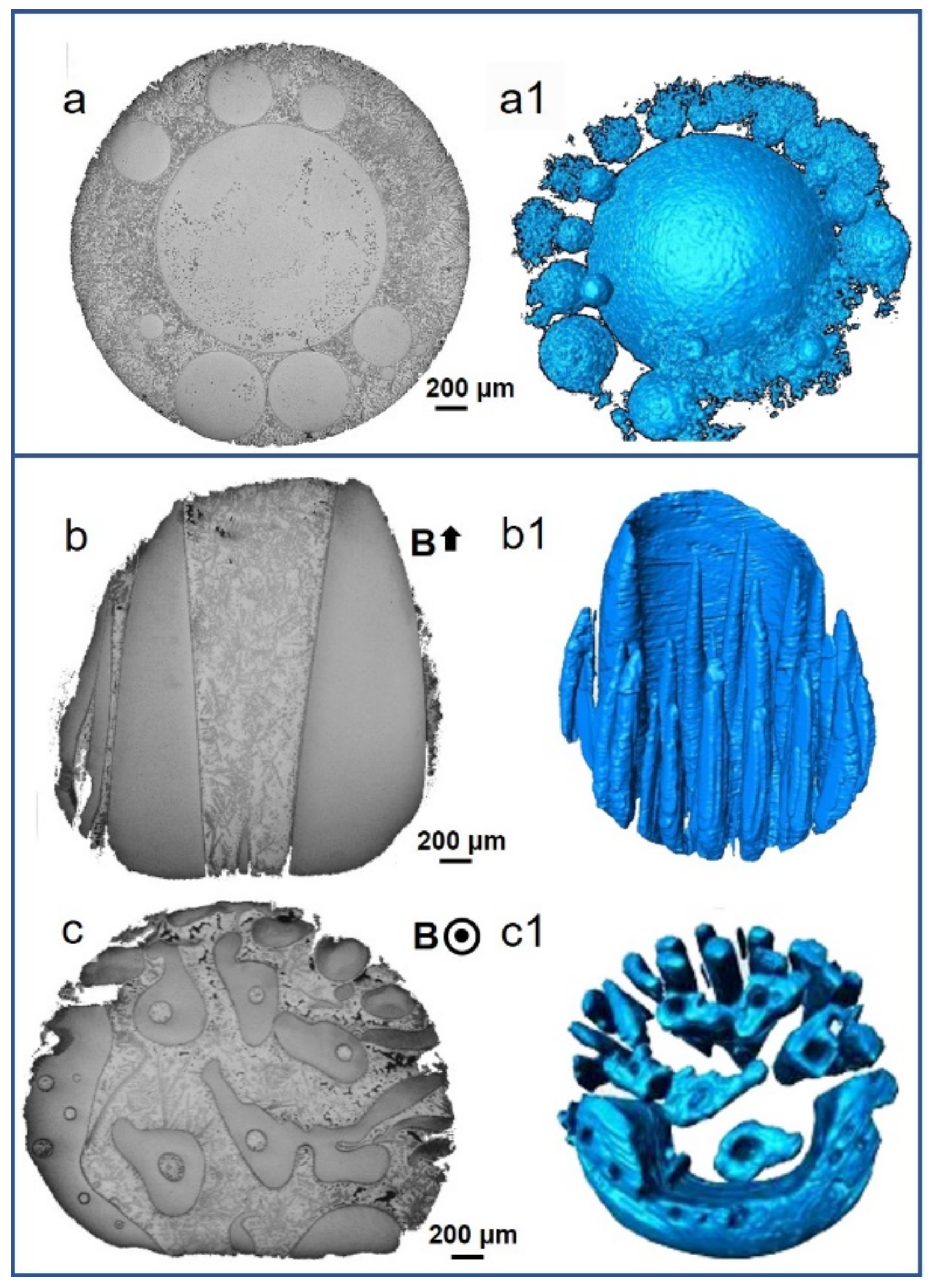 Metals 11 00525 g009