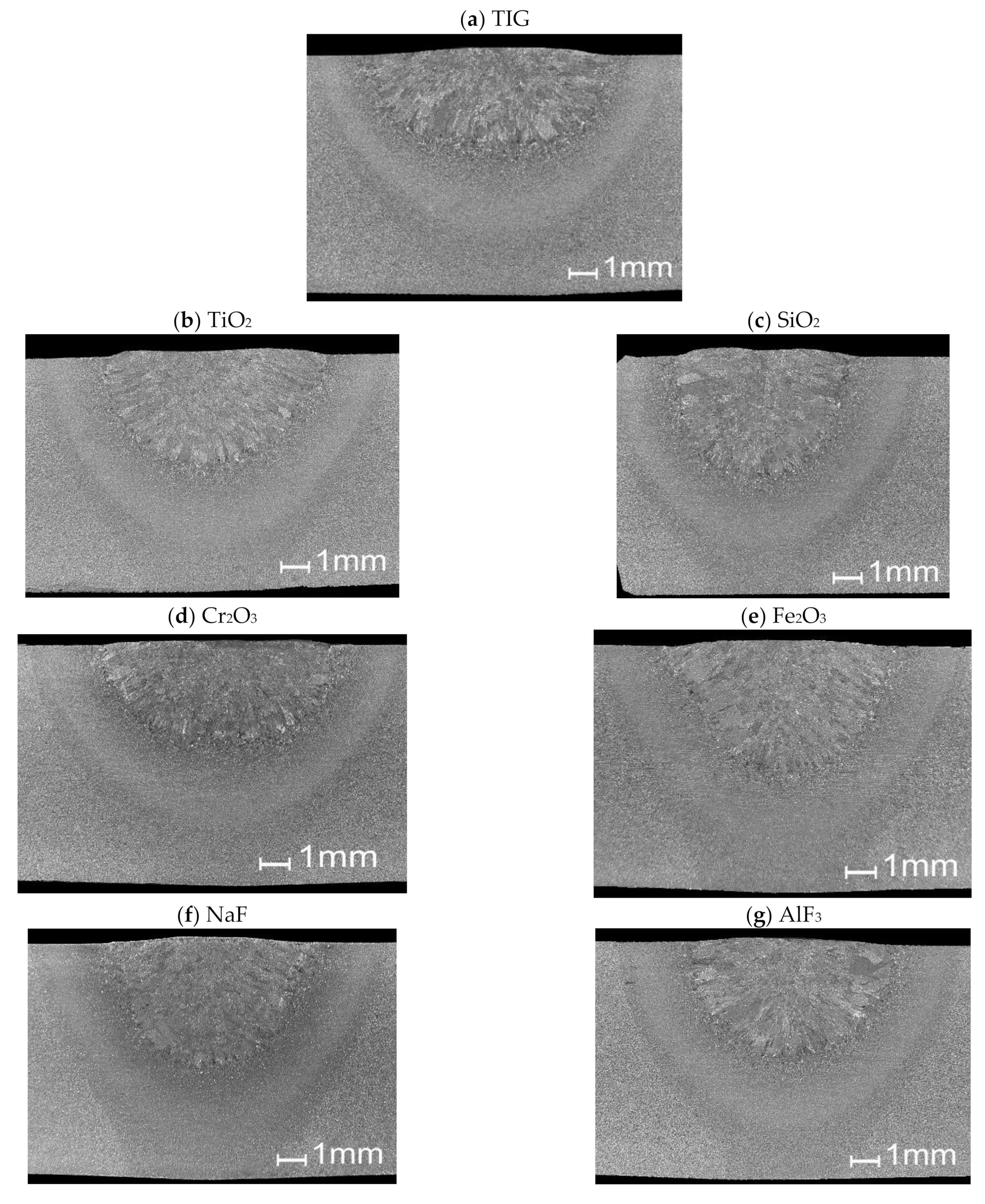 Metals 11 00530 g003