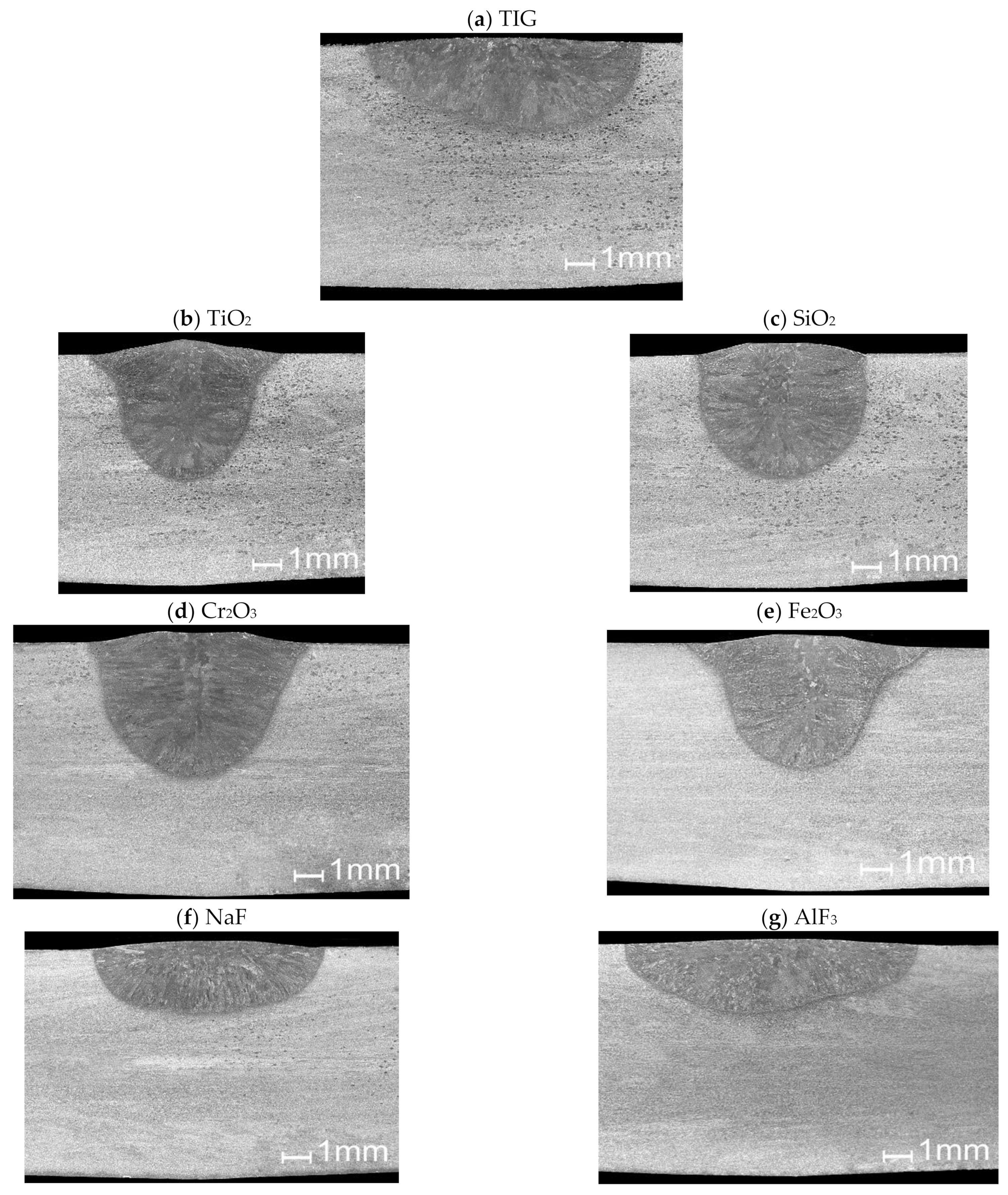 Metals 11 00530 g005