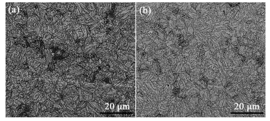 Metals 11 00542 g004 Metals 11 00542 g004