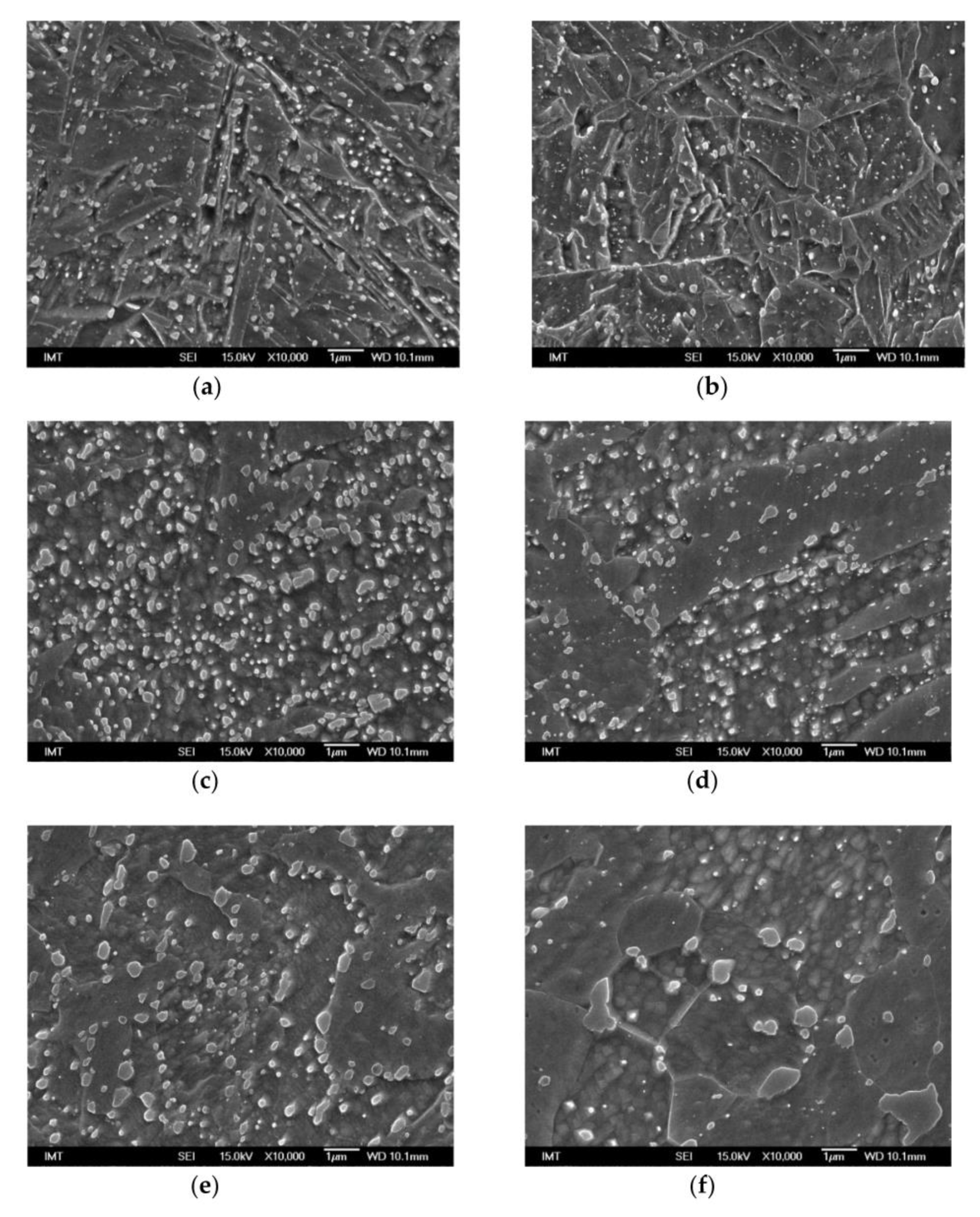 Metals 11 00558 g003 Metals 11 00558 g003