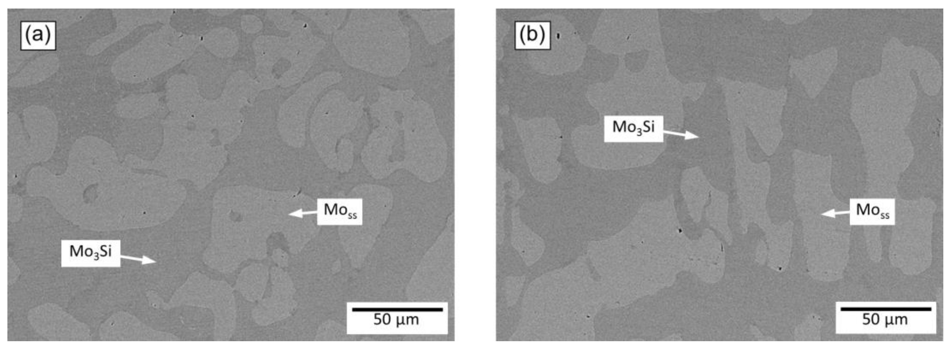 Metals 11 00564 g005