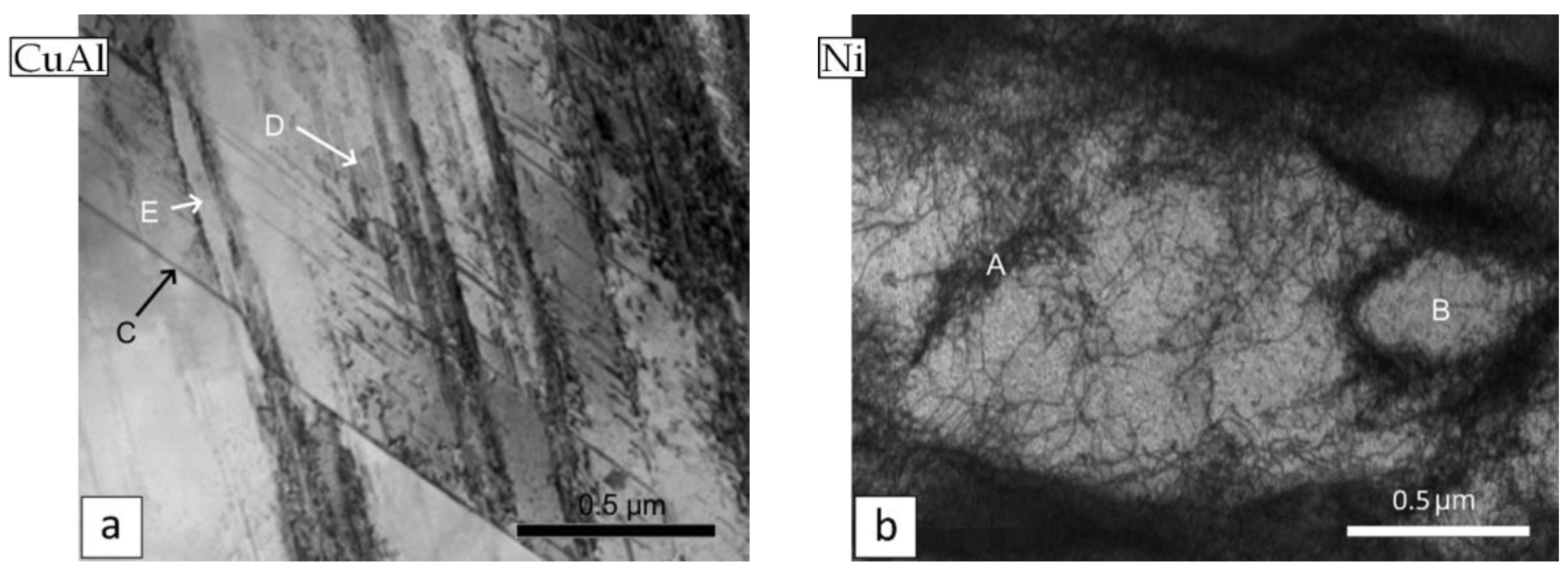 Metals 11 00582 g008