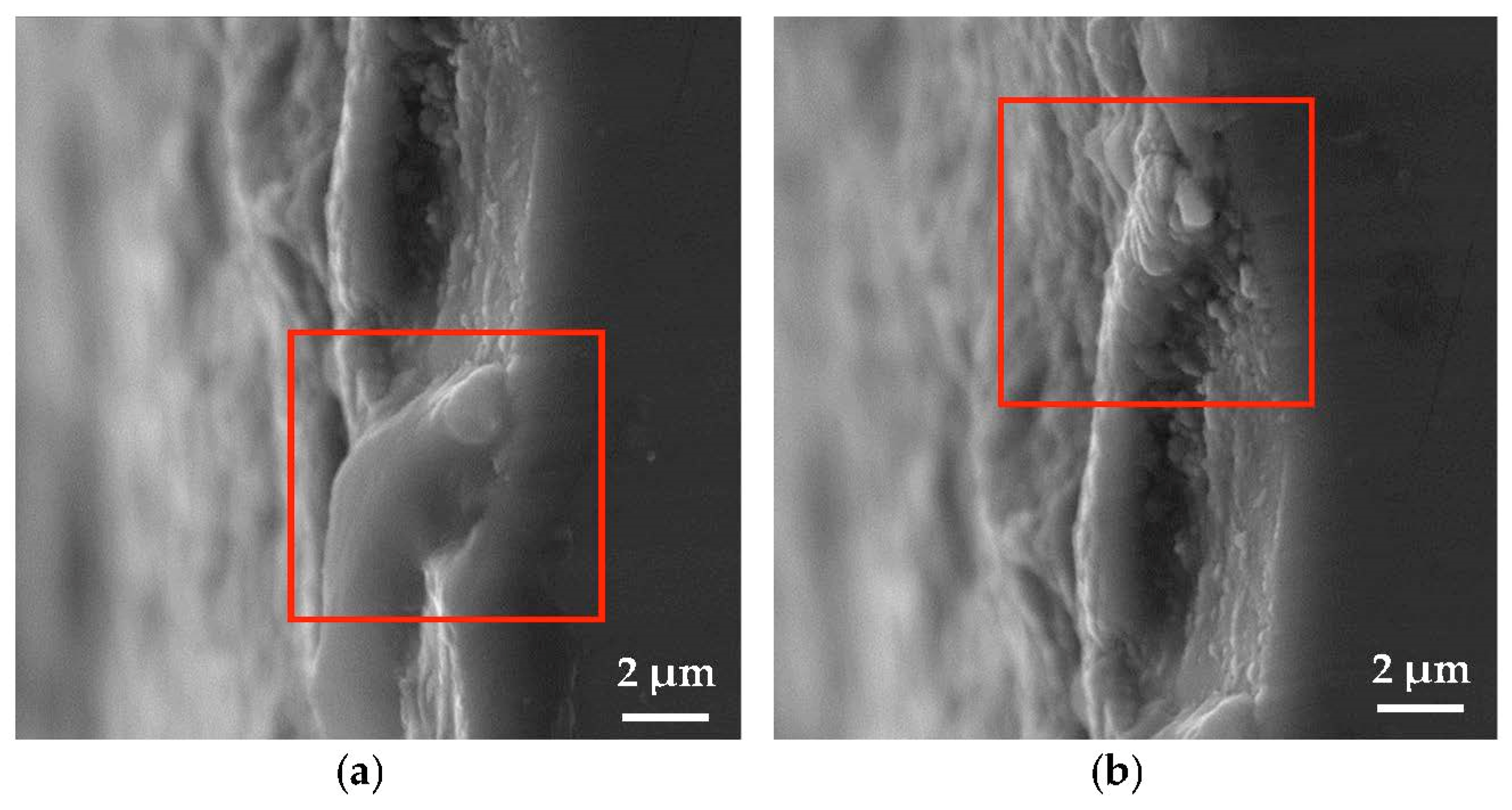 Metals 11 00585 g011