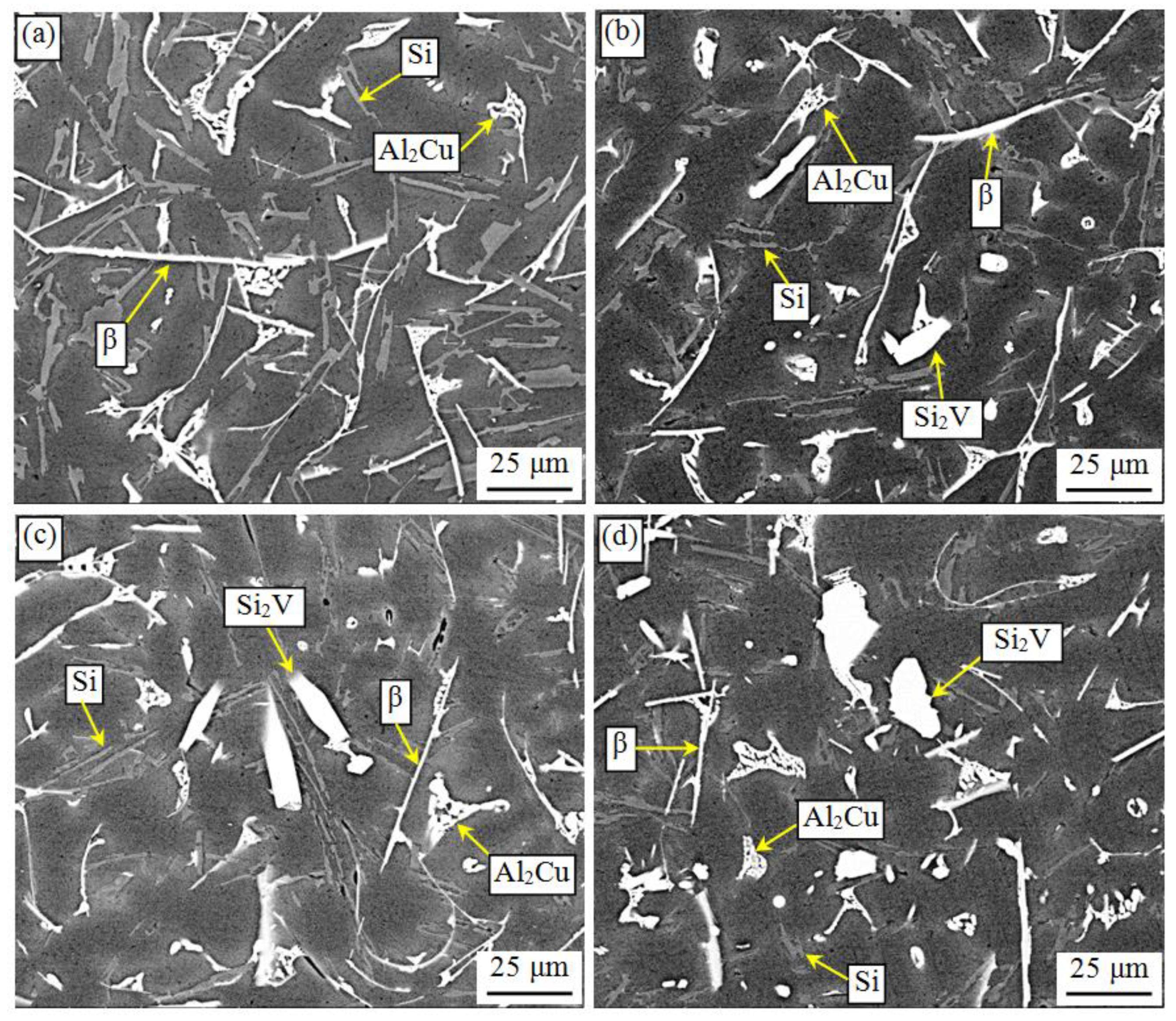 Metals 11 00587 g003