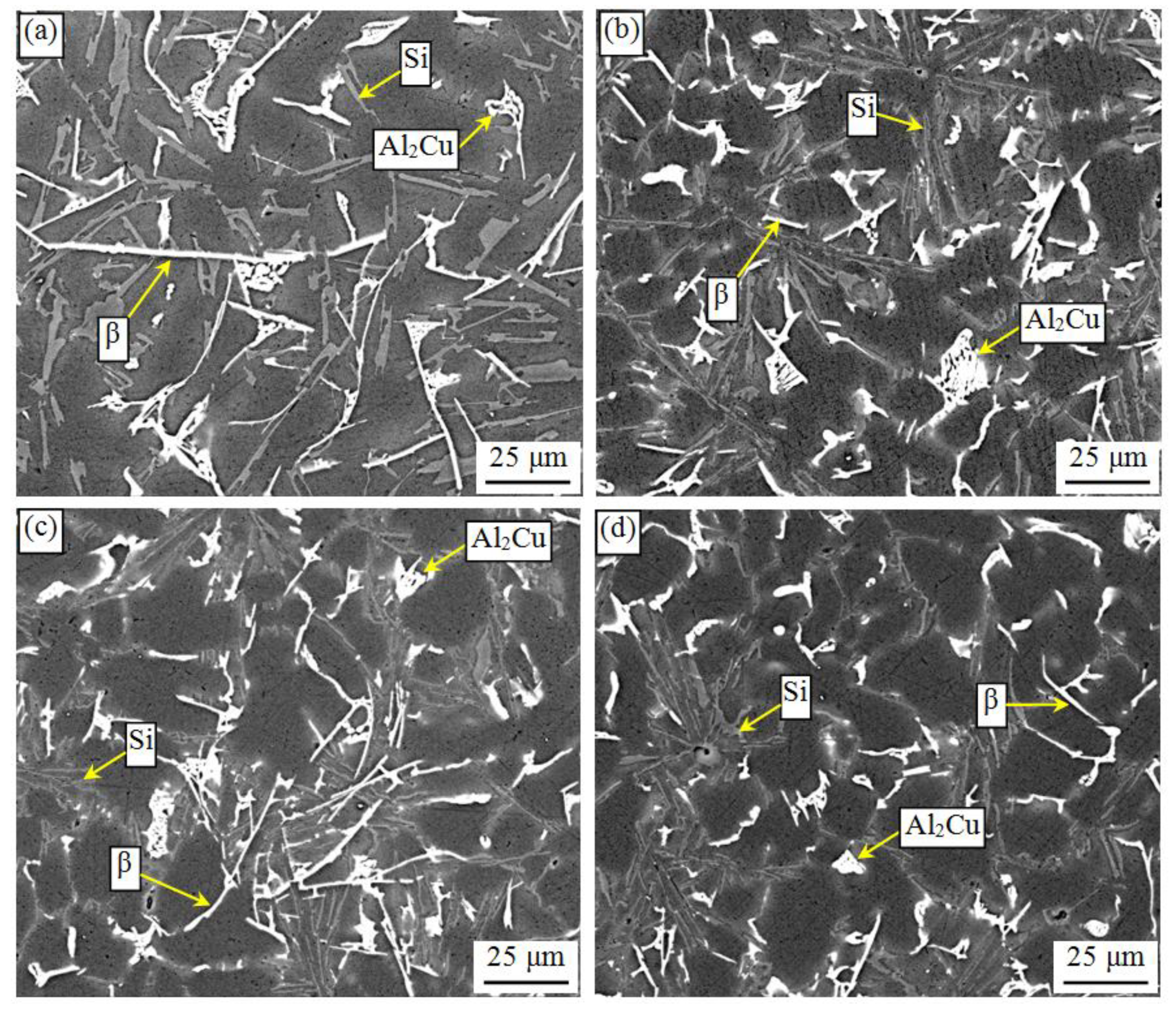Metals 11 00587 g006