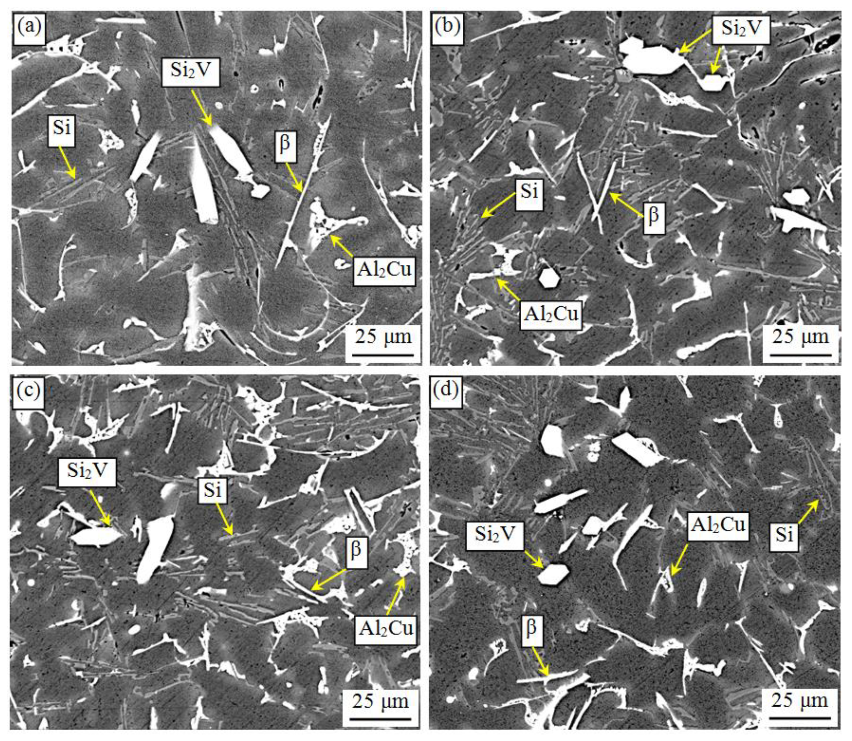 Metals 11 00587 g007