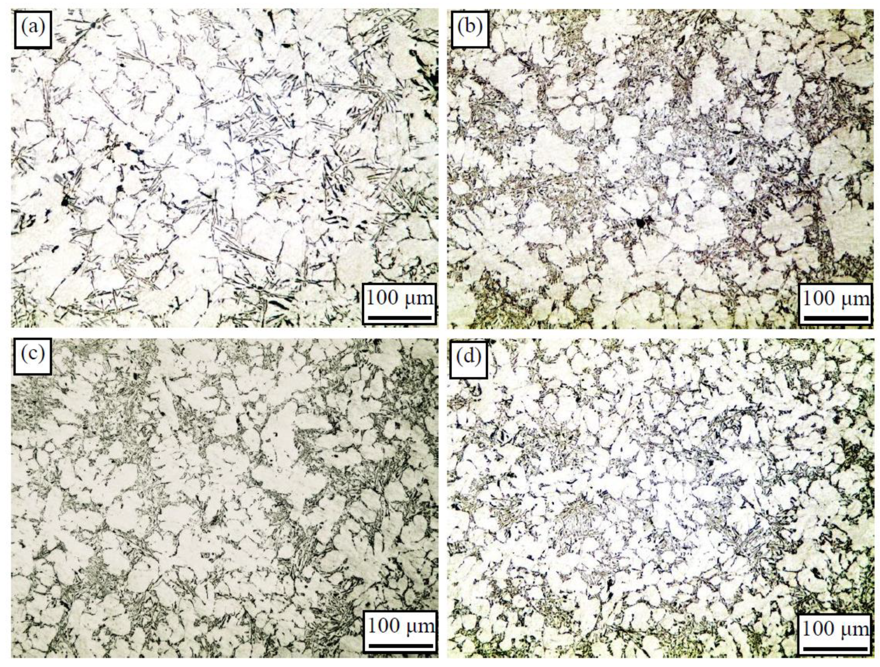 Metals 11 00587 g010