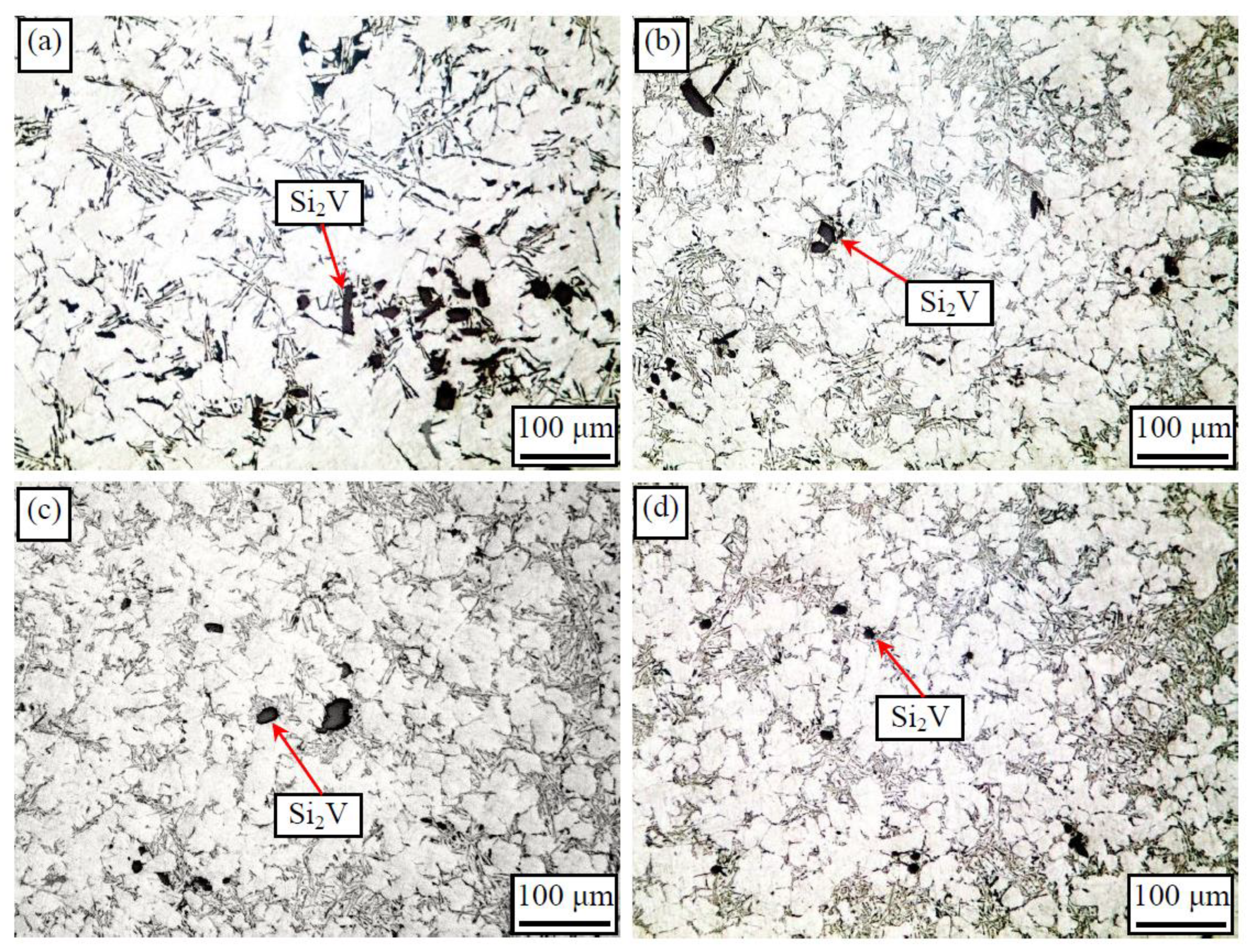 Metals 11 00587 g011