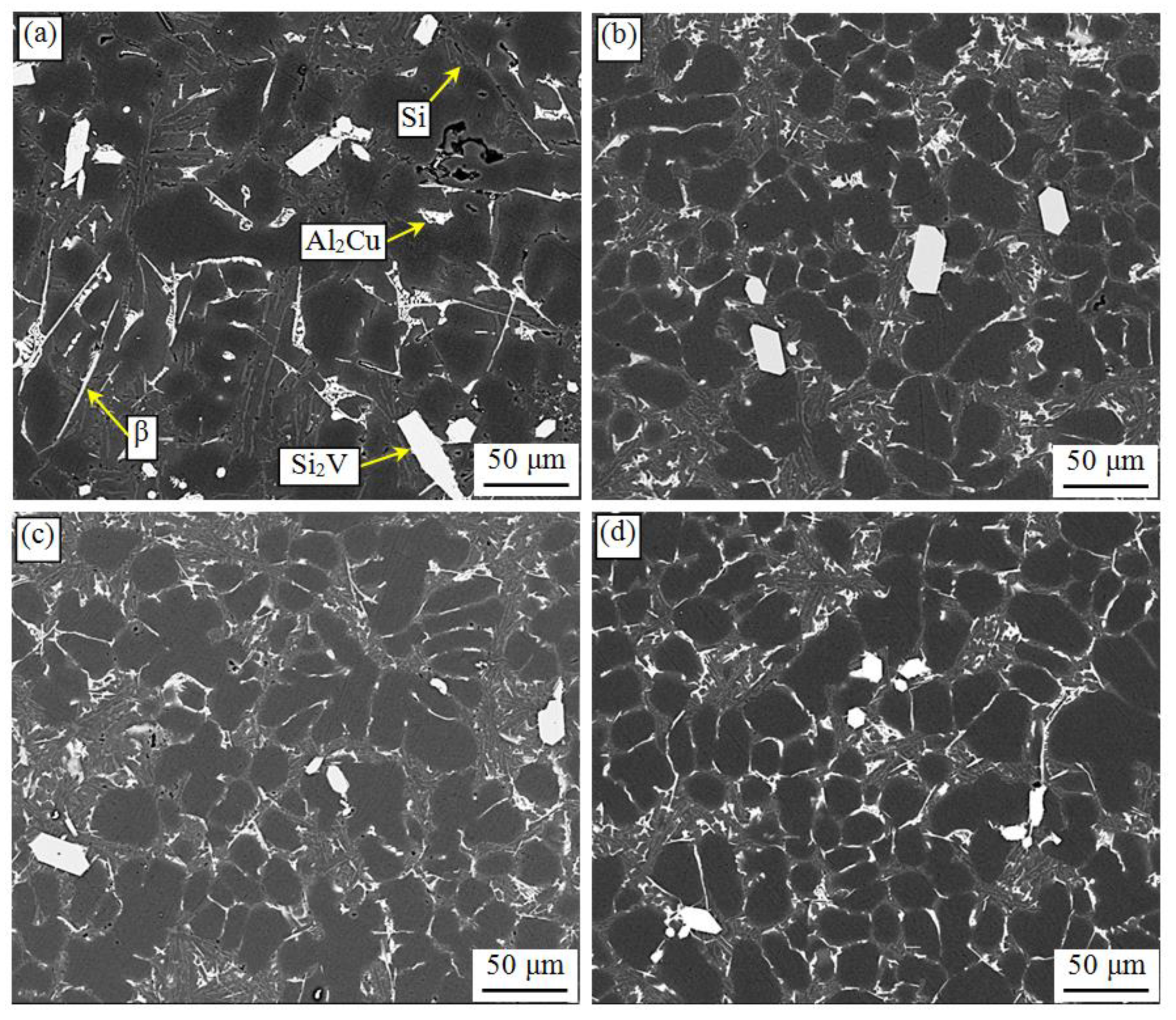 Metals 11 00587 g013