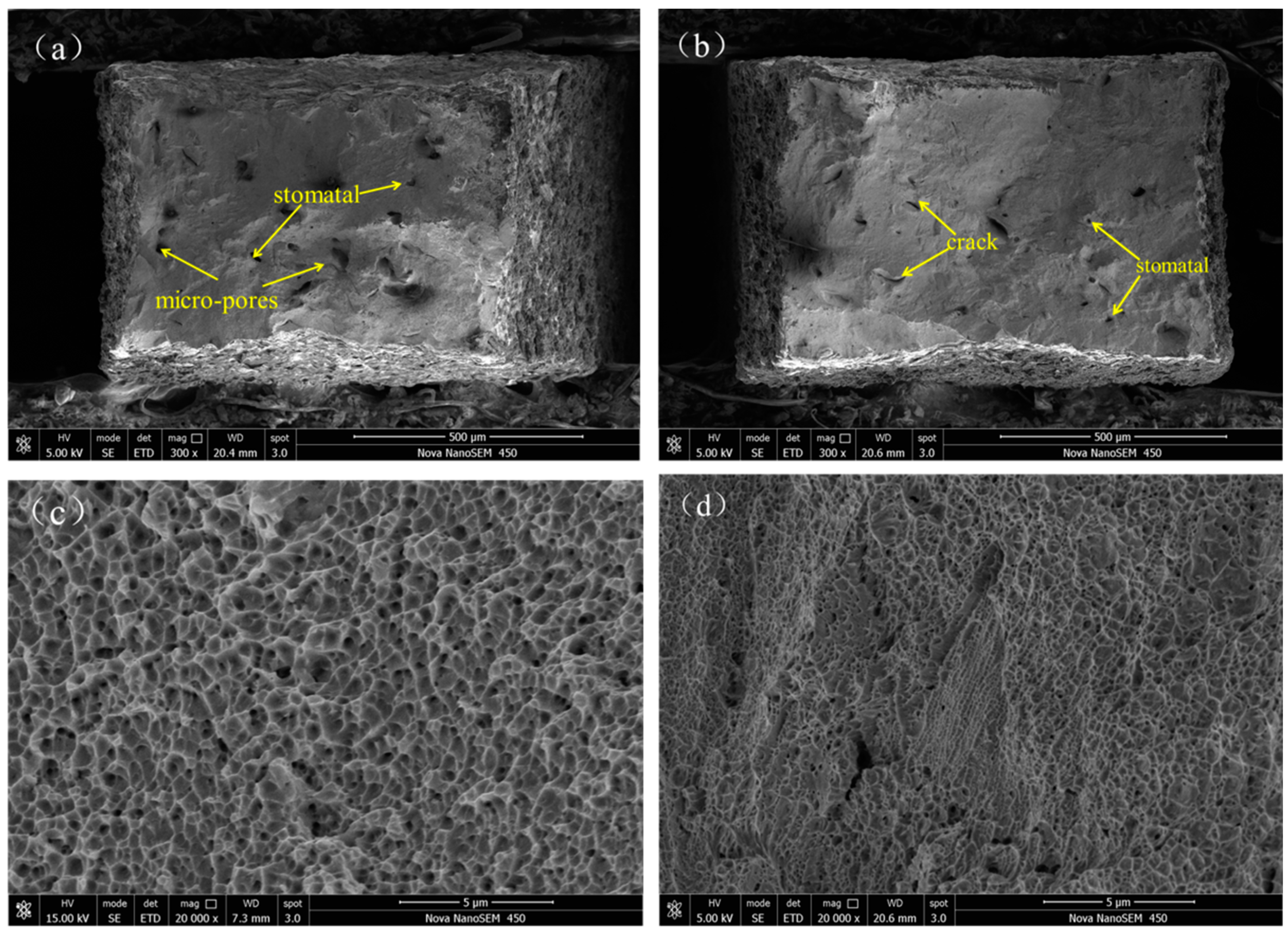 Metals 11 00597 g005 Metals 11 00597 g005