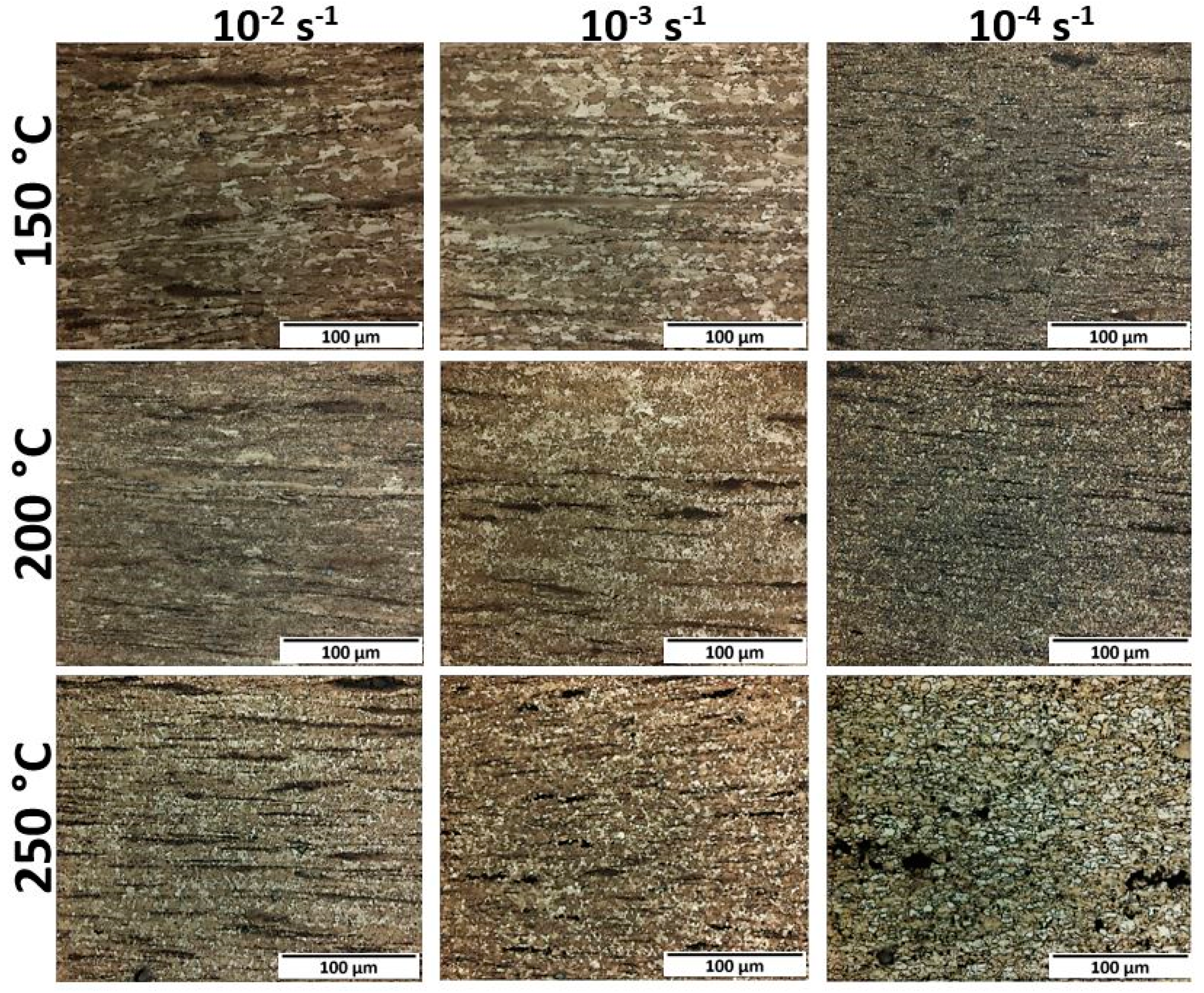 Metals 11 00606 g010