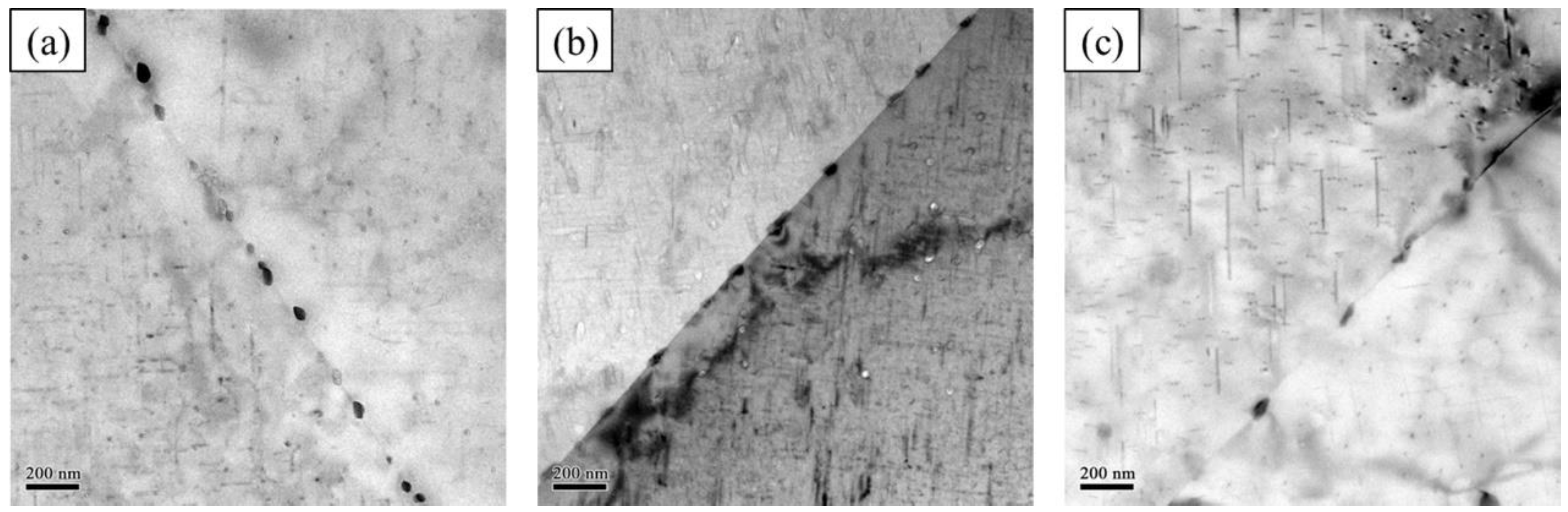 Metals 11 00608 g007 550