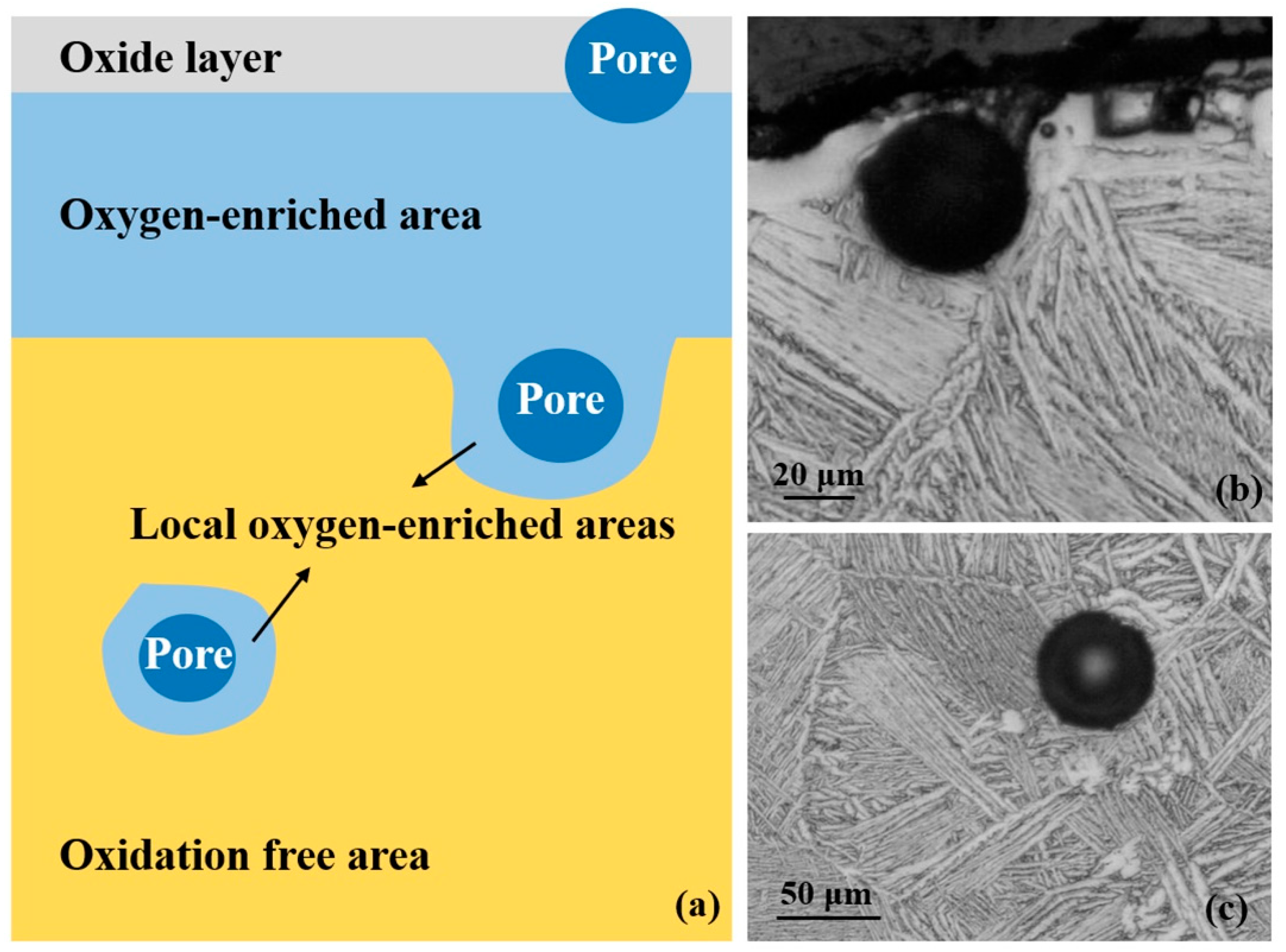 Metals 11 00610 g005 Metals 11 00610 g005
