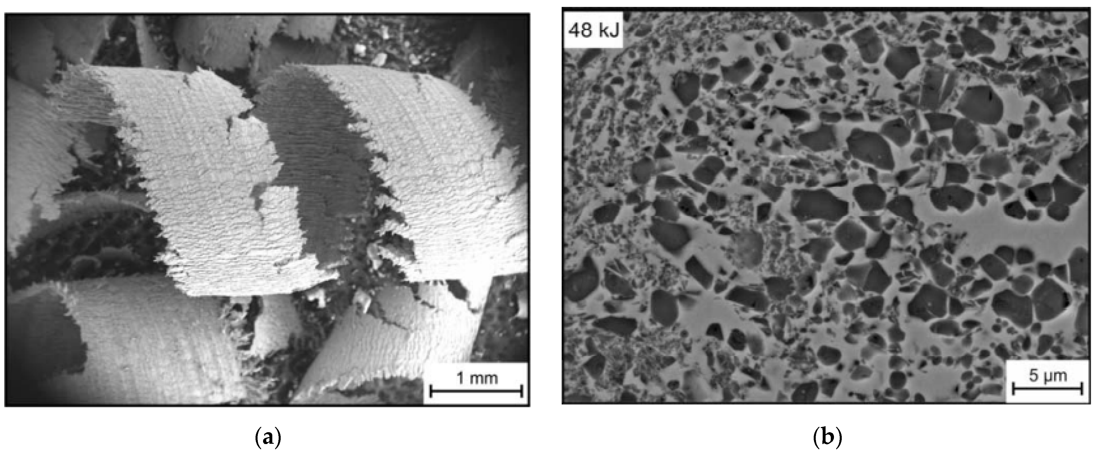 Metals 11 00616 g010 Metals 11 00616 g010