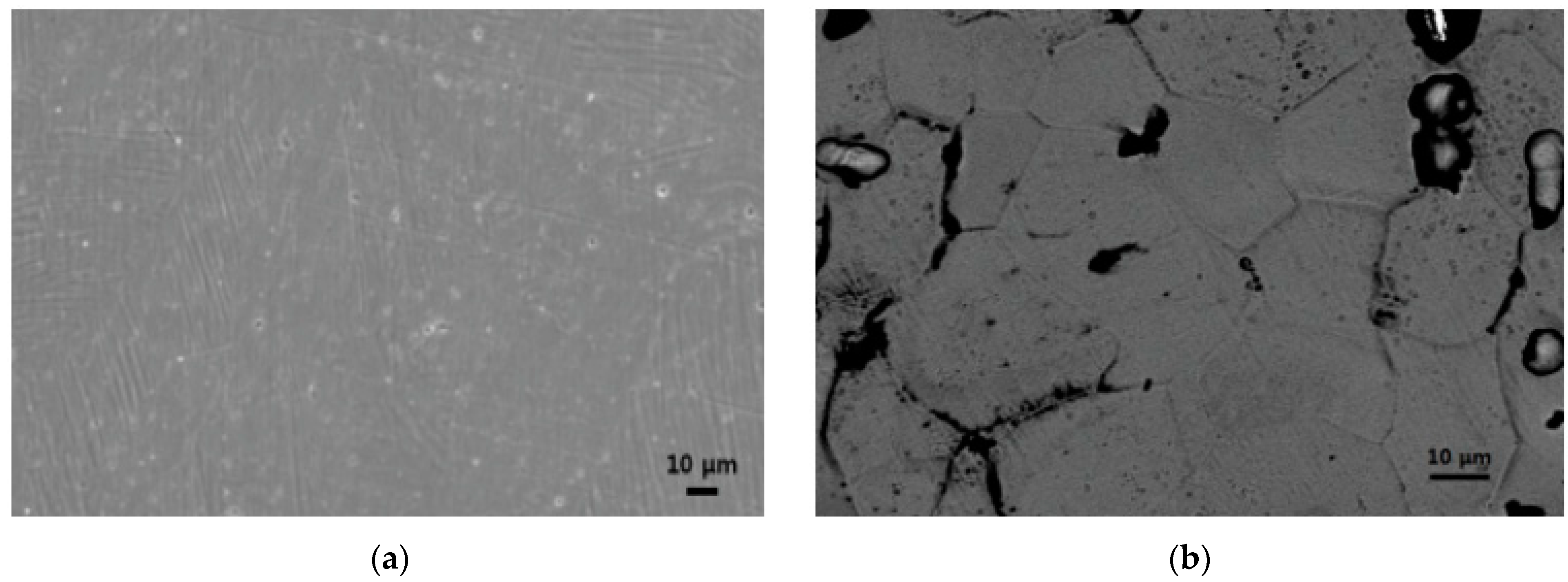 Metals 11 00616 g013 Metals 11 00616 g013