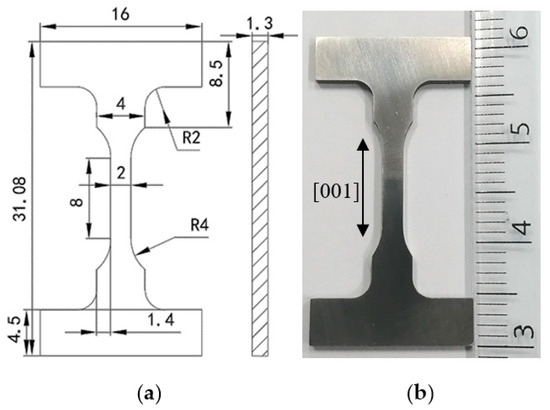 サイズH70 基準はブラサイズ表。合わなければ姉妹サイズも検討して、納得のブラに