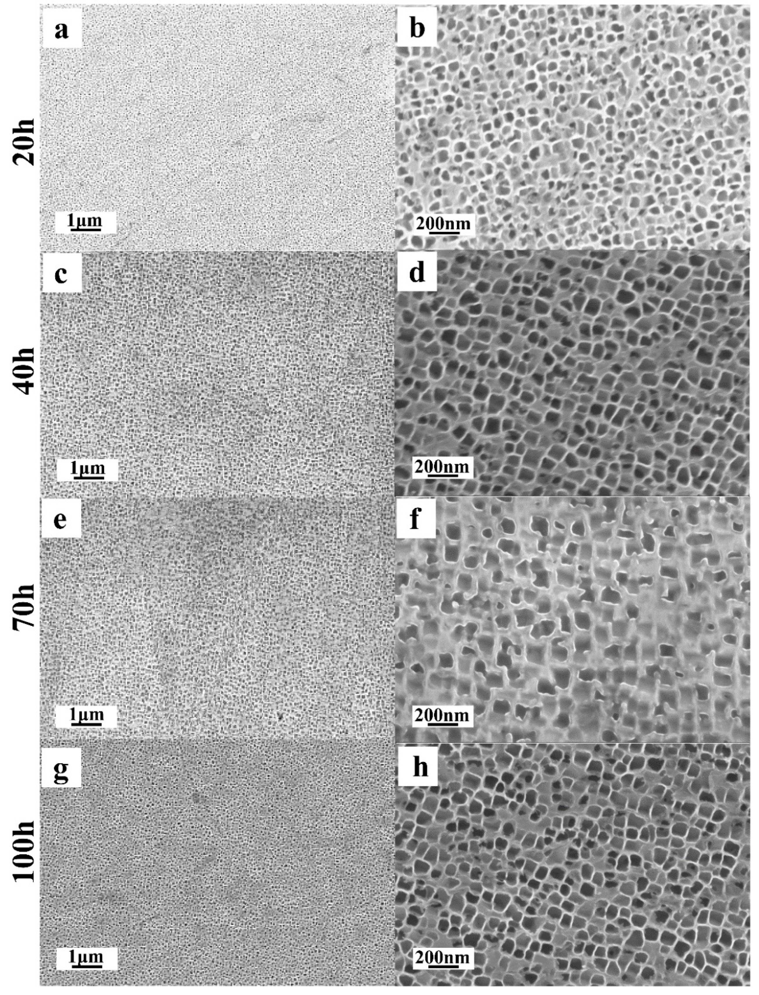 Metals 11 00623 g005