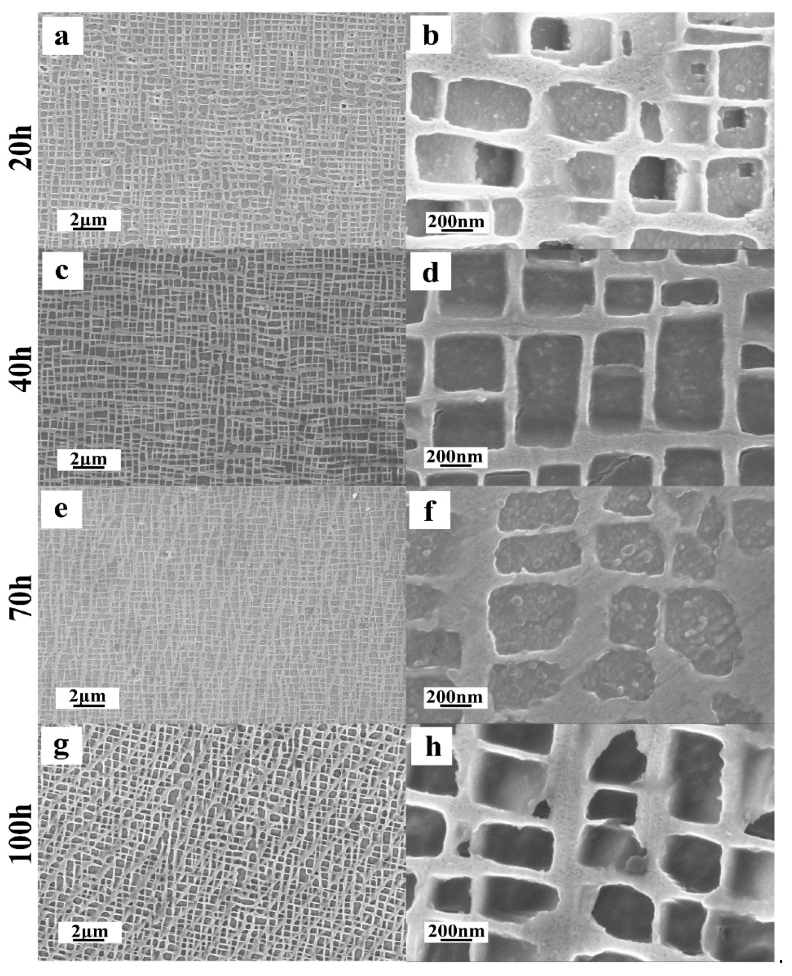 Metals 11 00623 g006