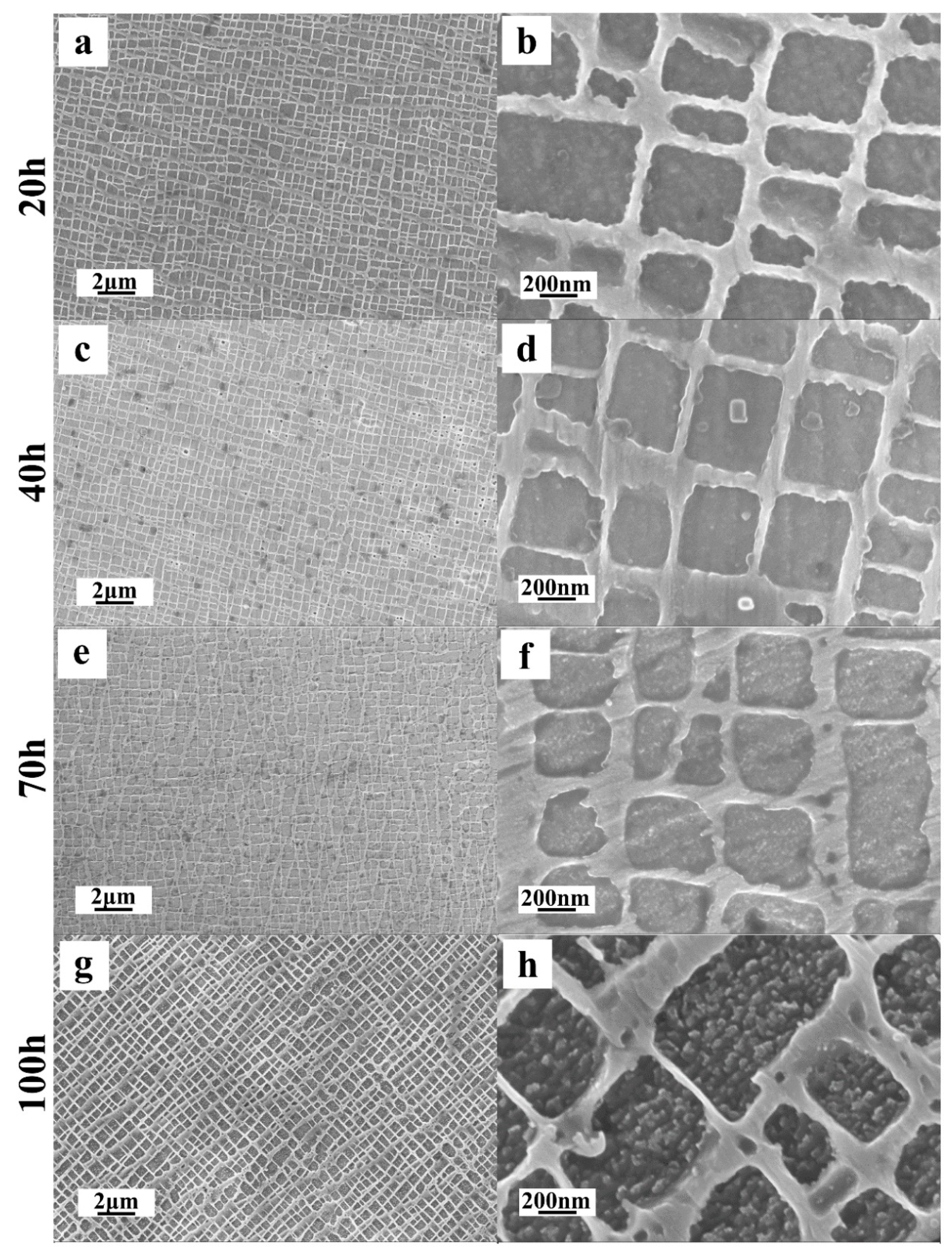 Metals 11 00623 g007