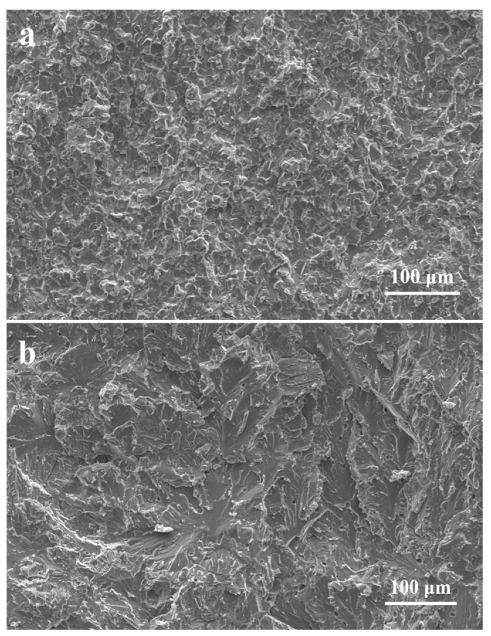 Metals 11 00635 g009