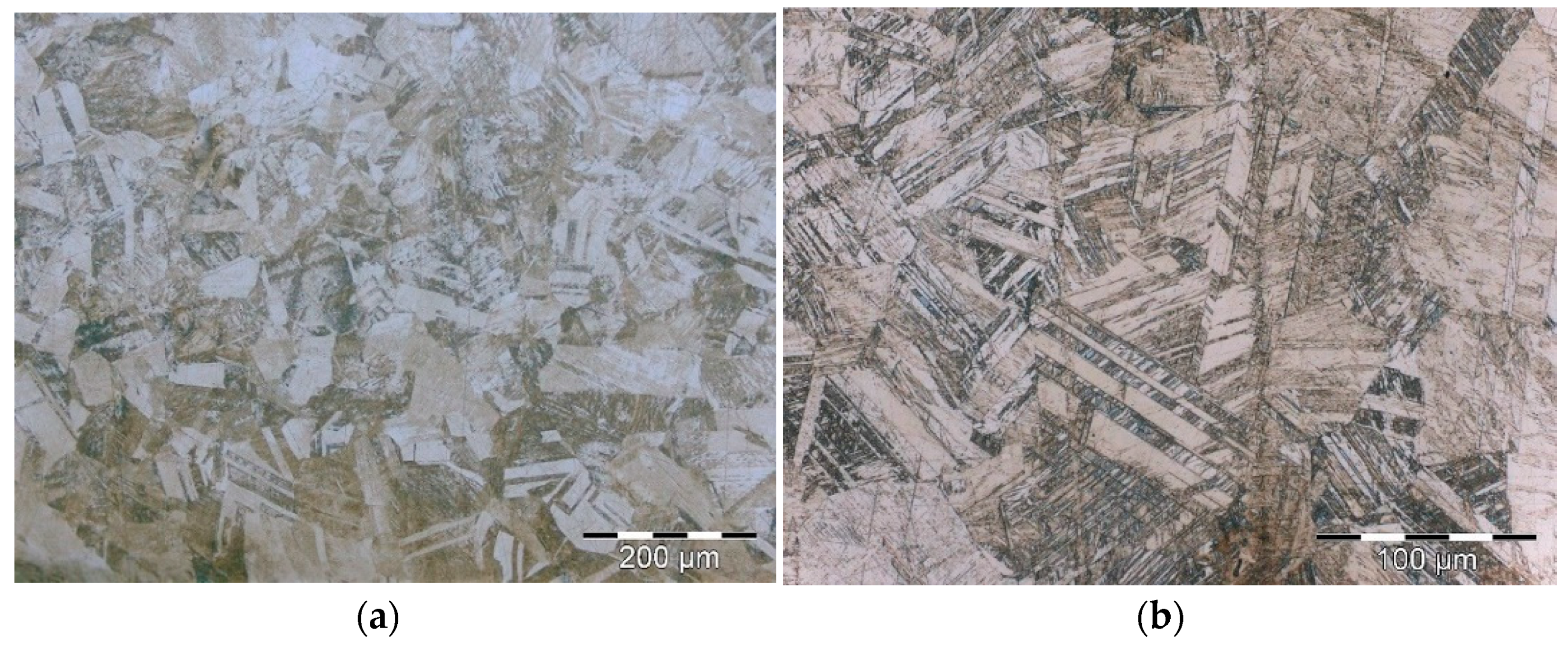 Metals 11 00649 g001 Metals 11 00649 g001