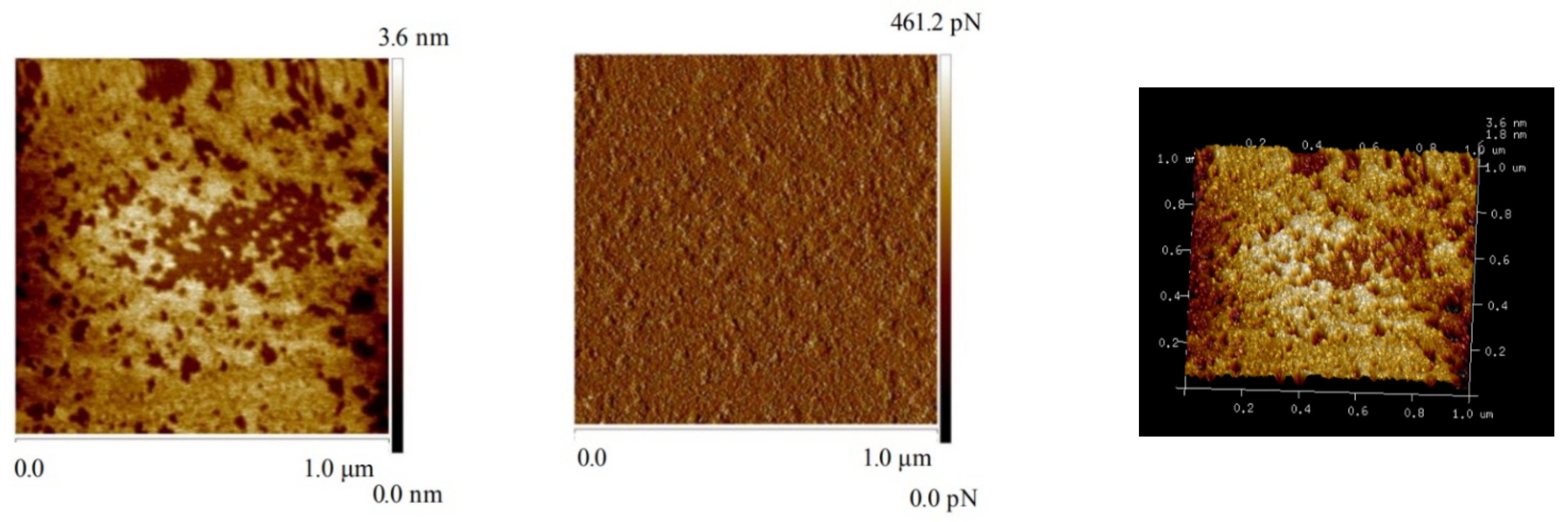 Metals 11 00651 g013 Metals 11 00651 g013