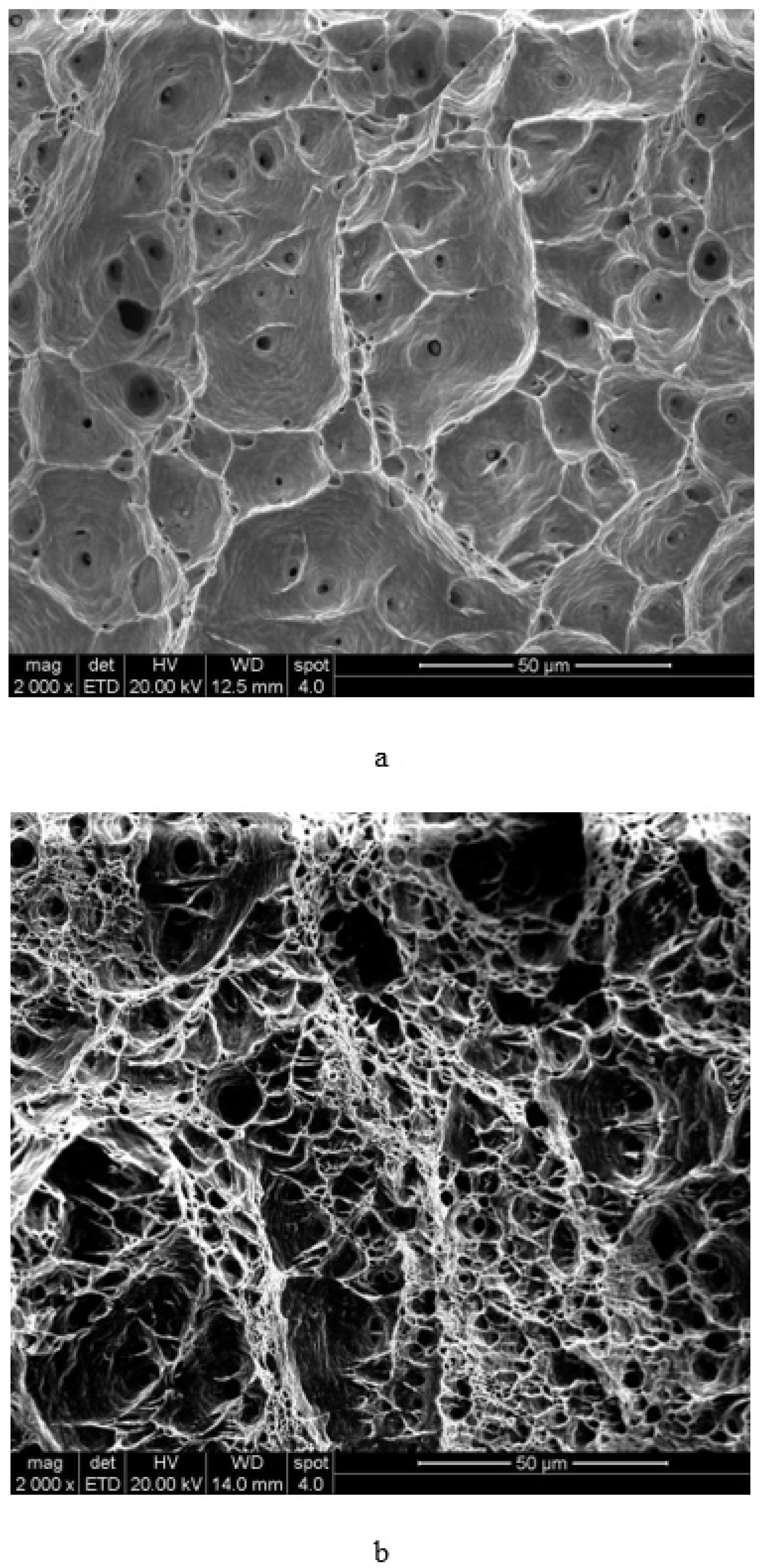 Metals 11 00656 g004