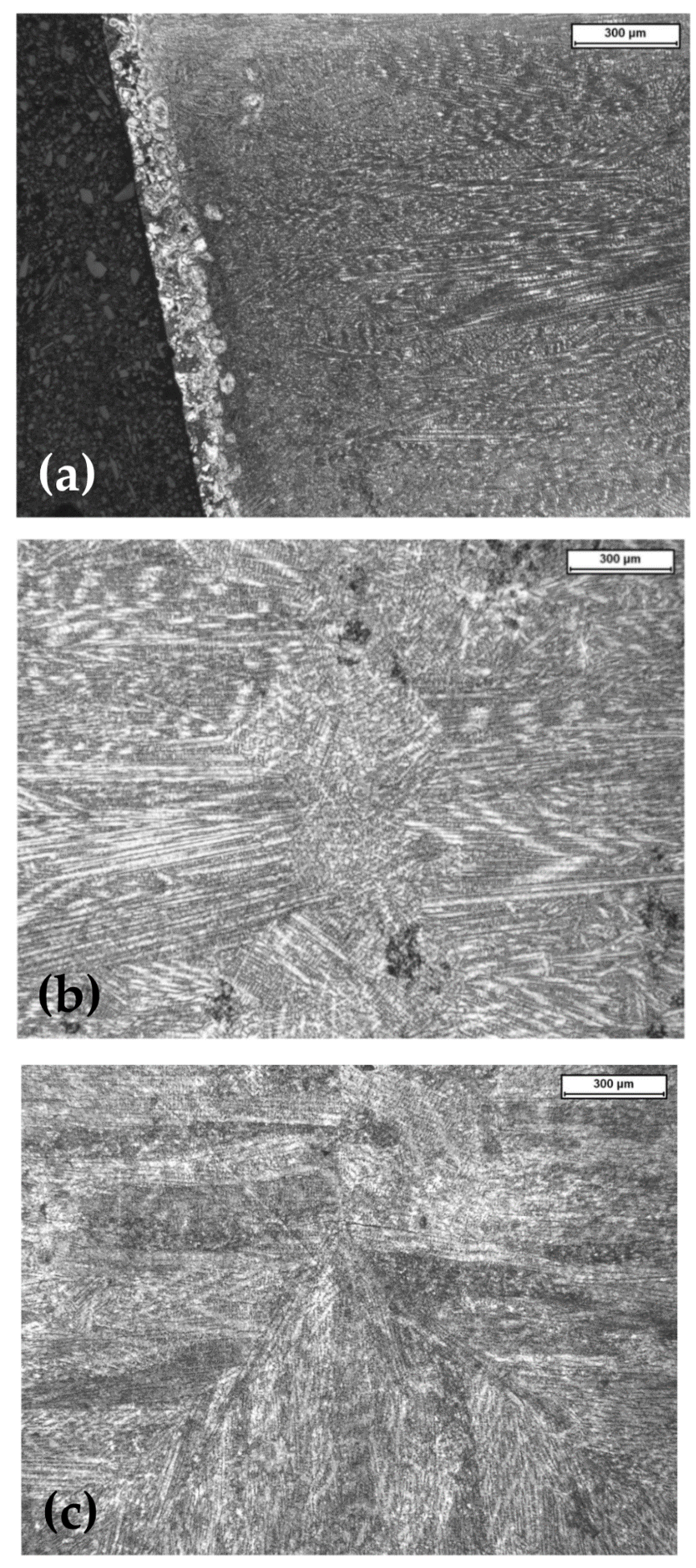 Metals 11 00665 g007