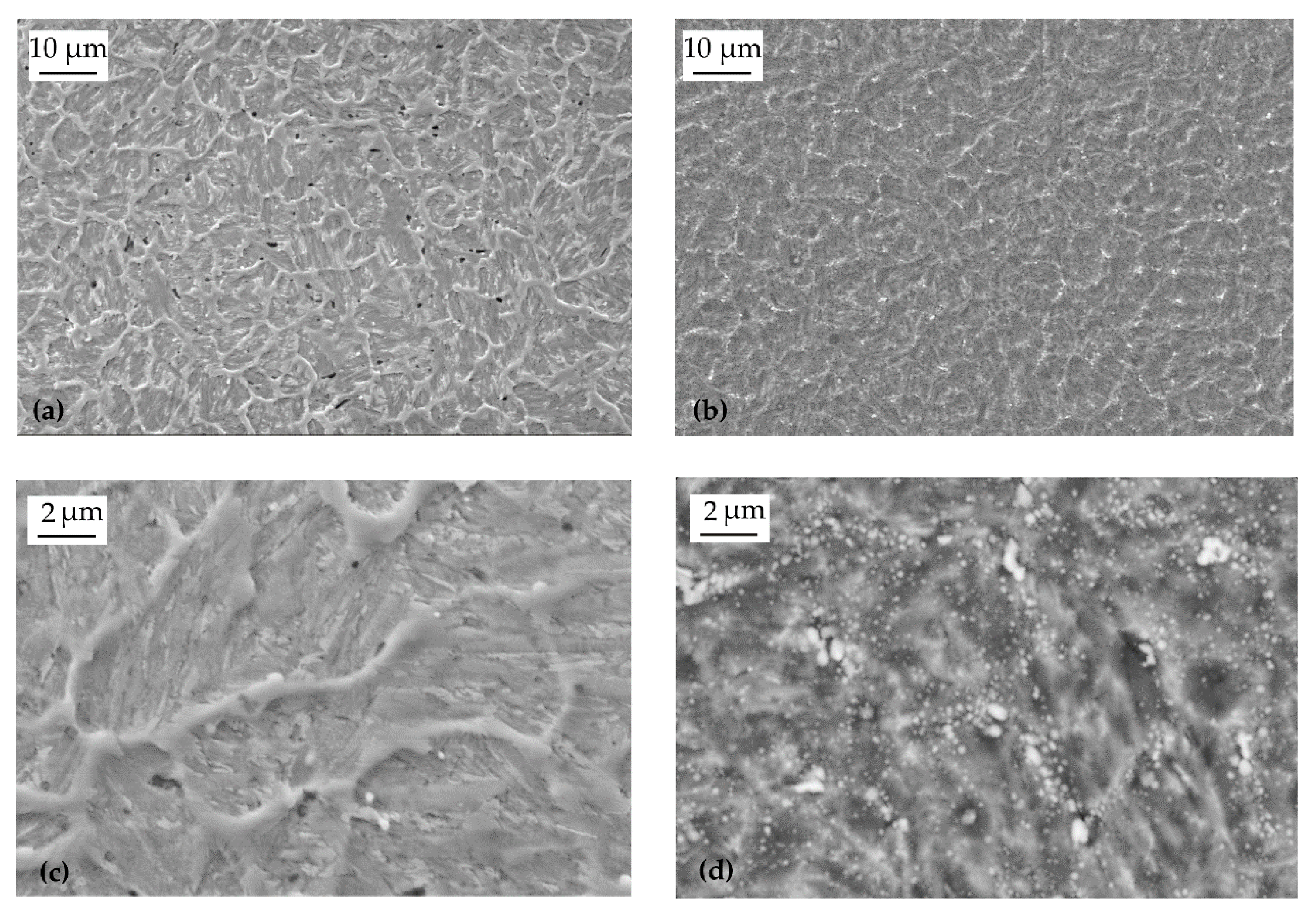 Metals 11 00665 g009