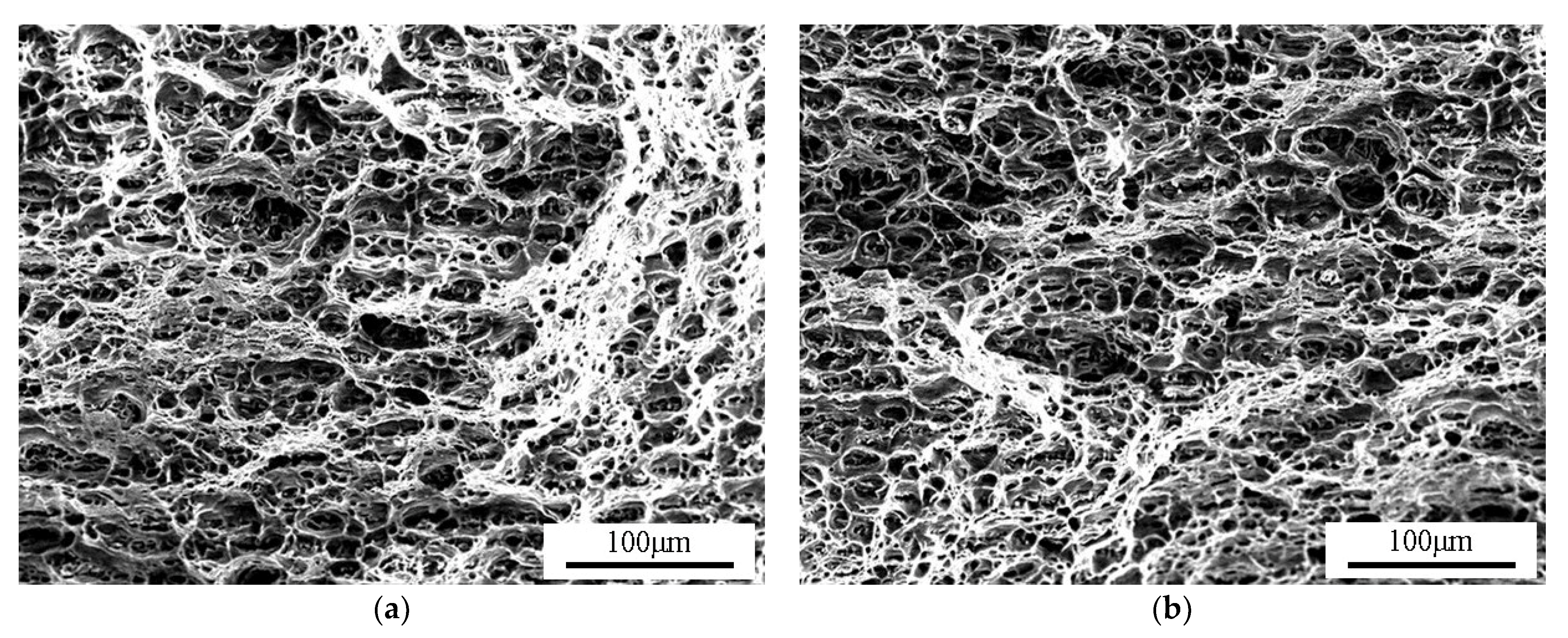 Metals 11 00671 g009