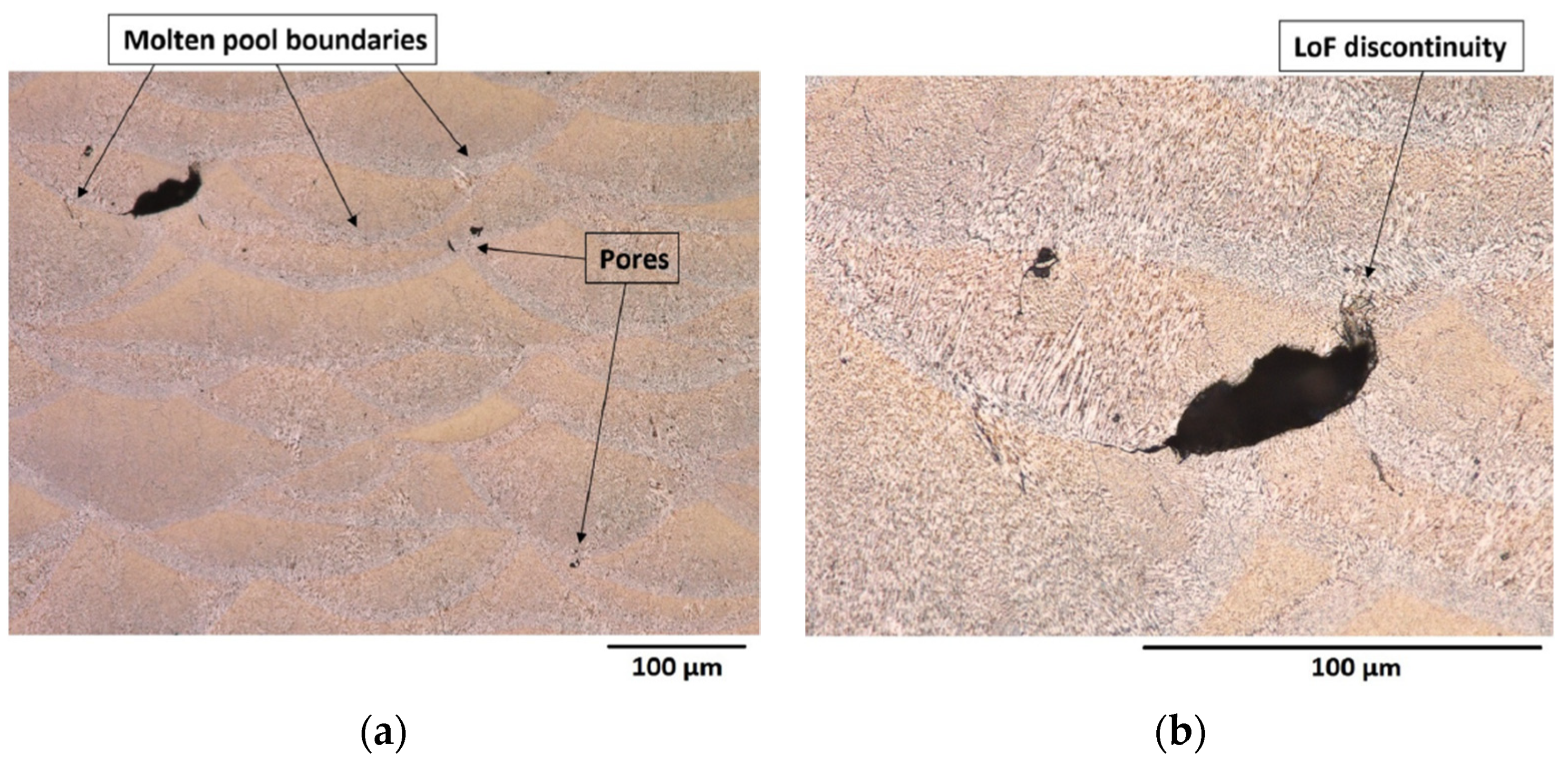 Metals 11 00679 g006