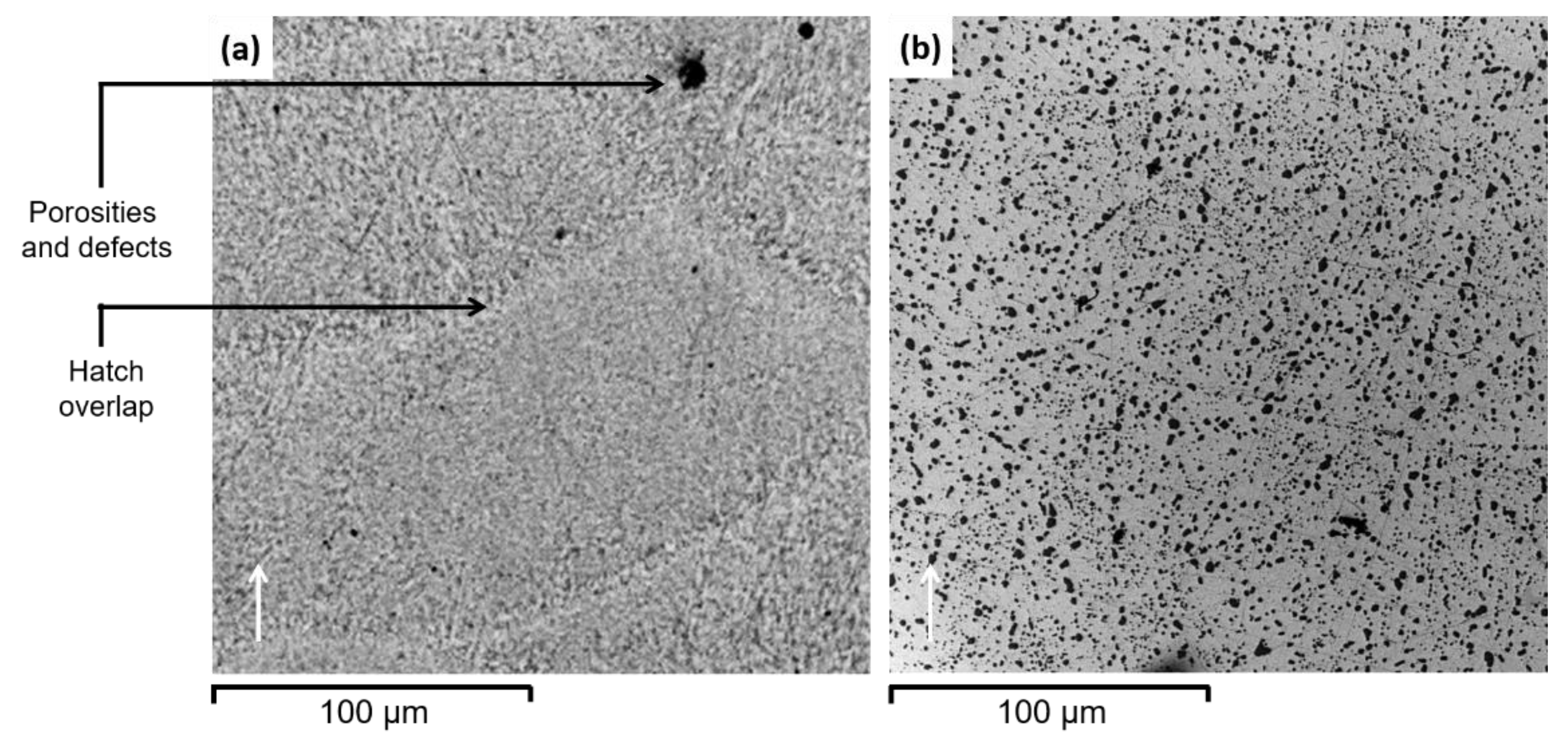 Metals 11 00683 g006