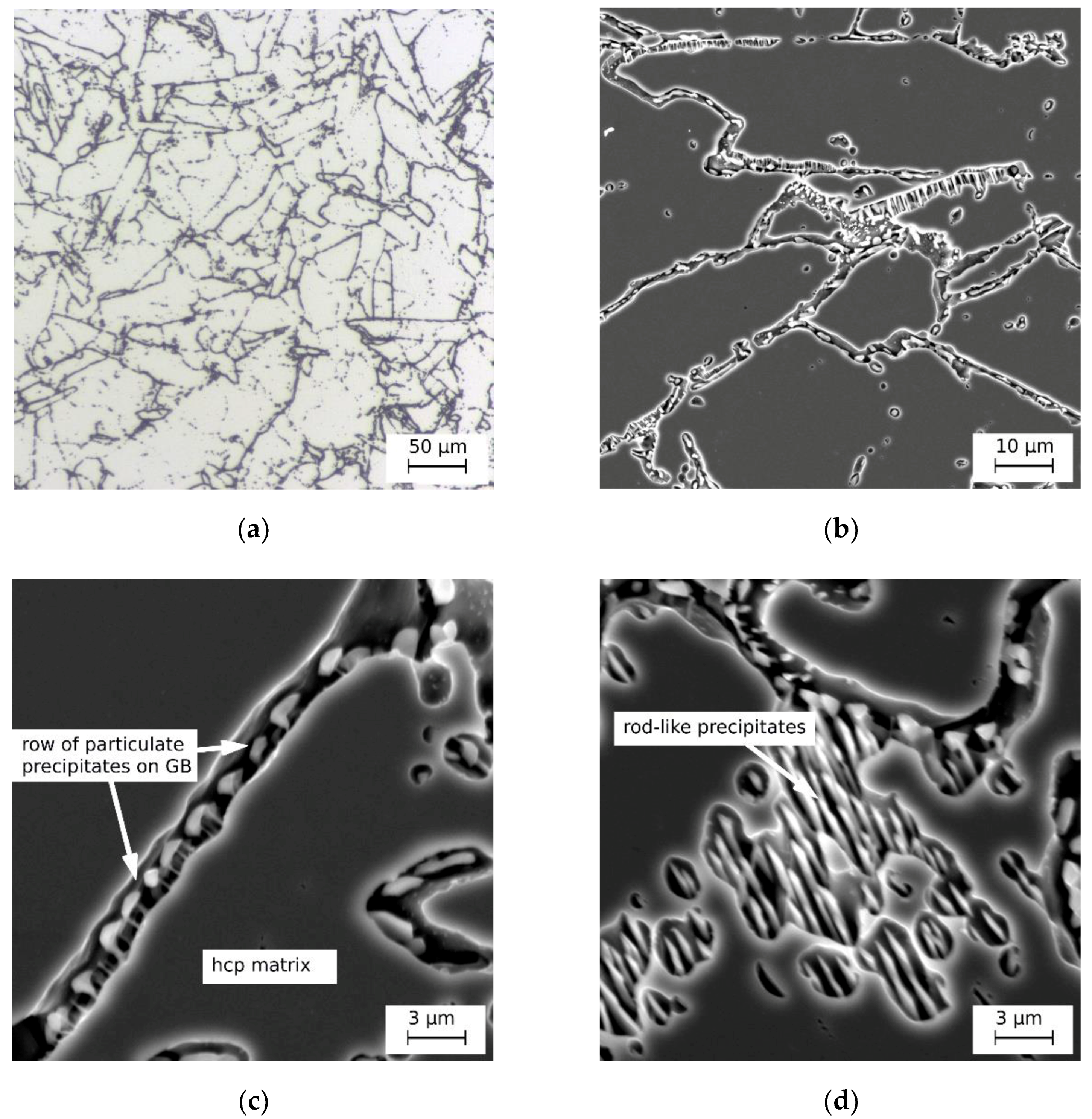 Metals 11 00687 g010 Metals 11 00687 g010
